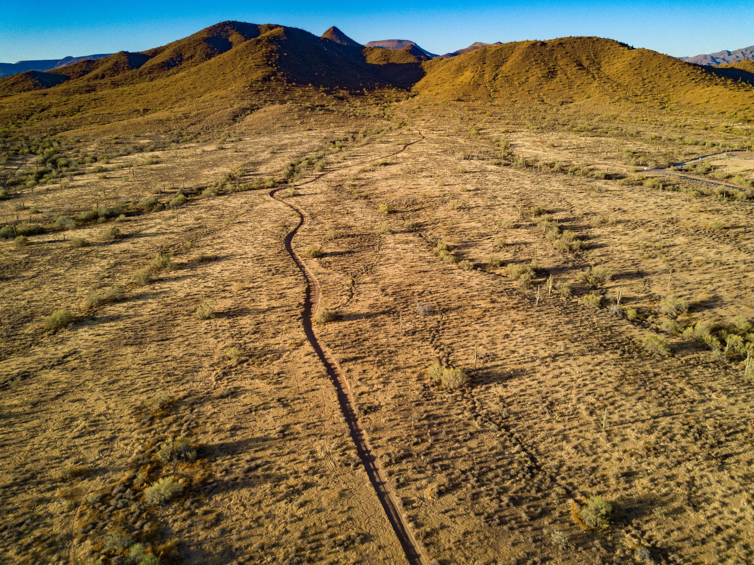 DavidStevensDrone-46.jpg