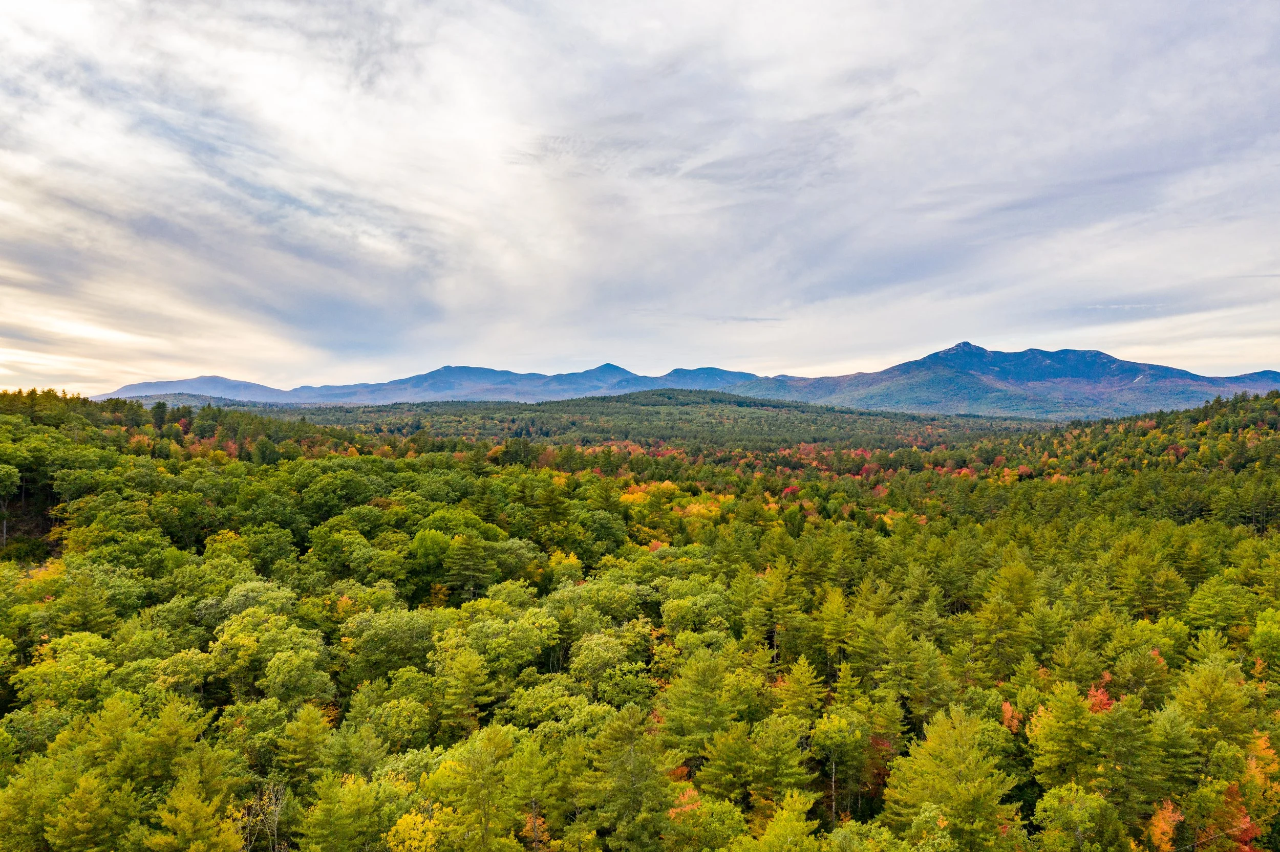 A vast landscape of dense green forest with colorful autumn foliage, rolling hills, and mountains in the distance under a sky with scattered clouds.