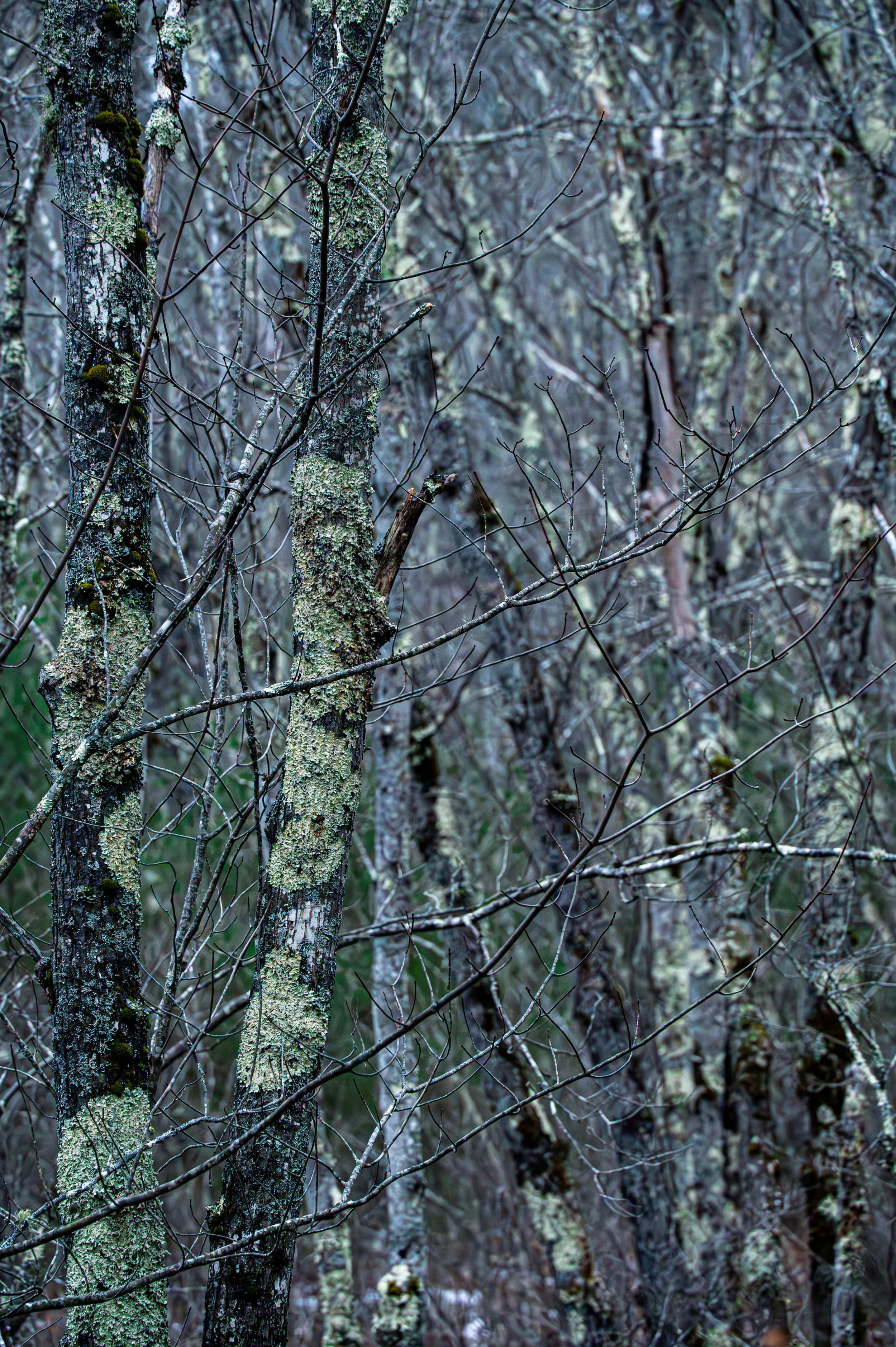 winter-3.jpg