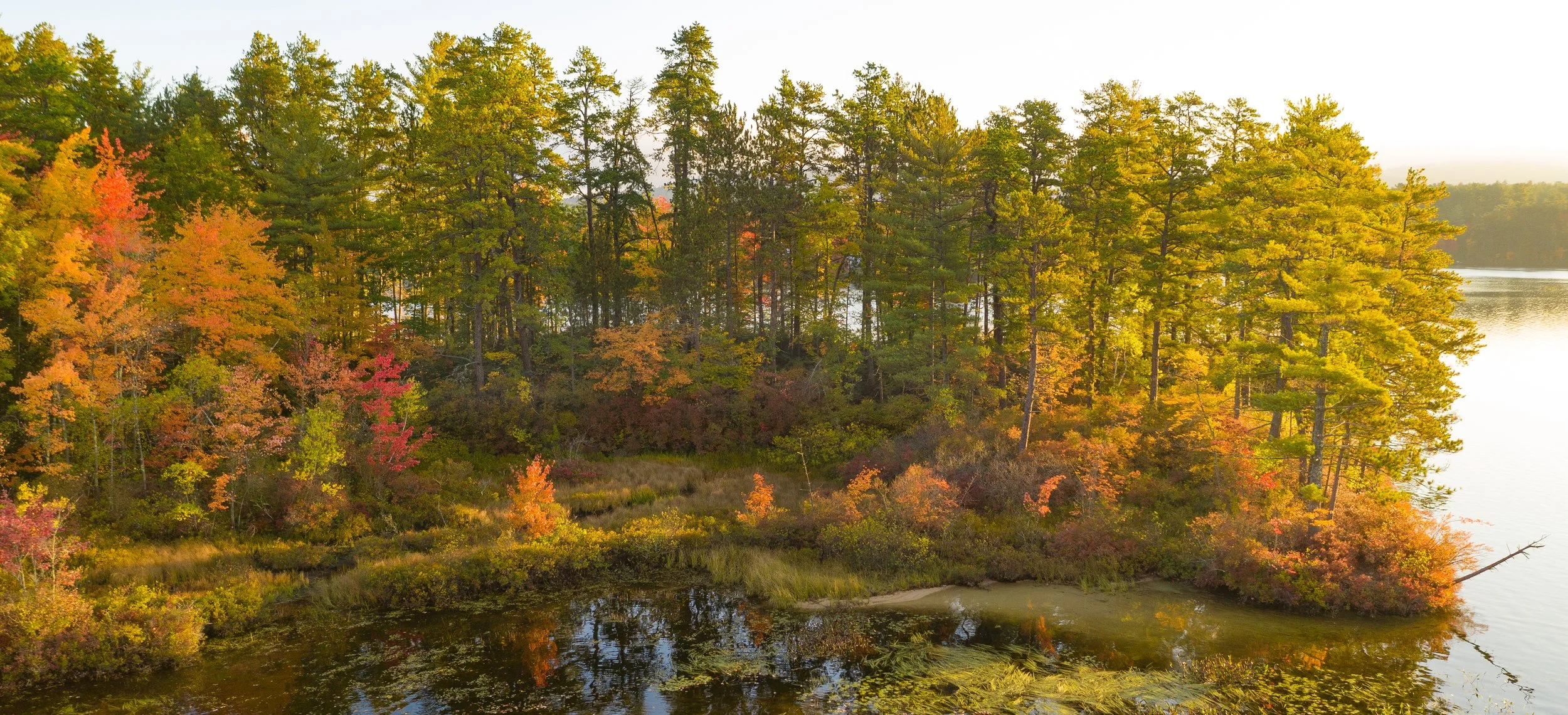 A scenic view of a forest during autumn with trees in shades of green, orange, red, and yellow, next to a body of water reflecting the colors of the foliage.