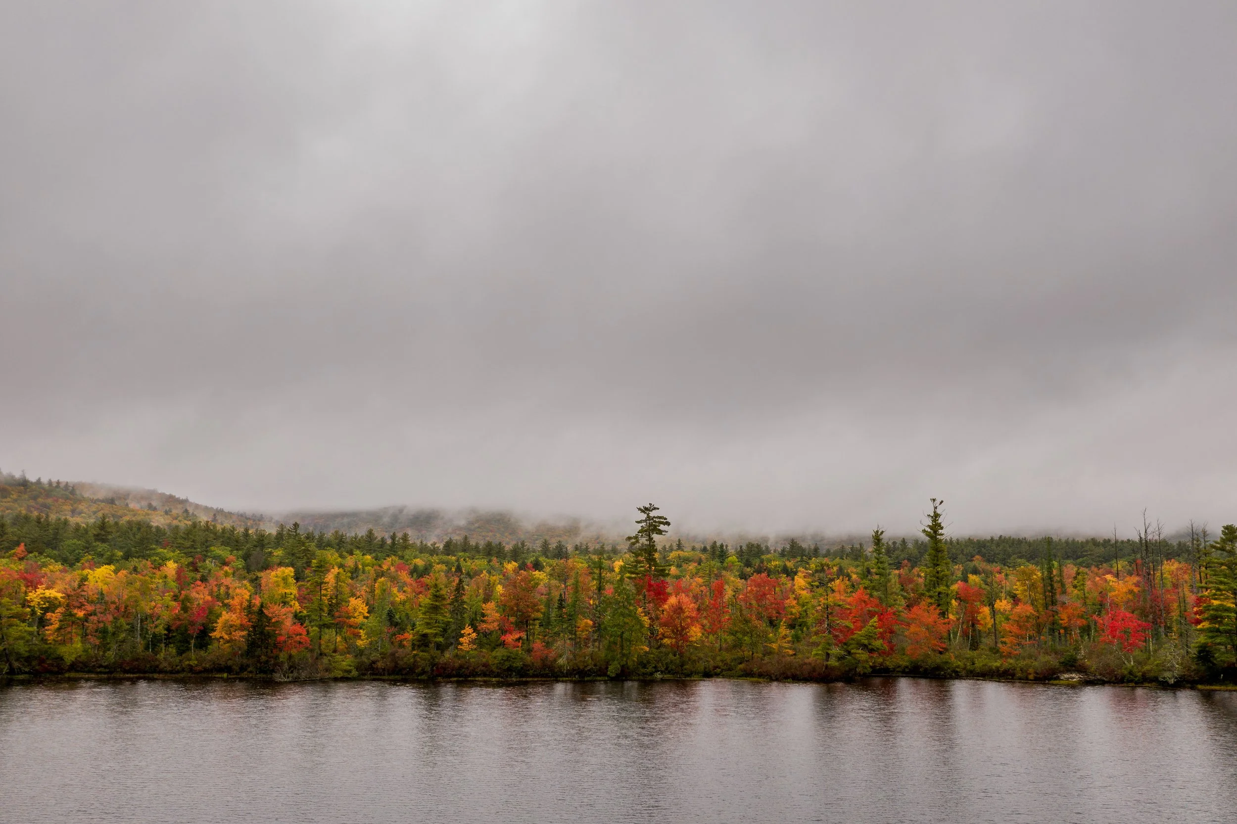 A landscape of a lake with colorful autumn trees along the shoreline, and a forested hillside in the background shrouded in low-lying fog under an overcast sky.