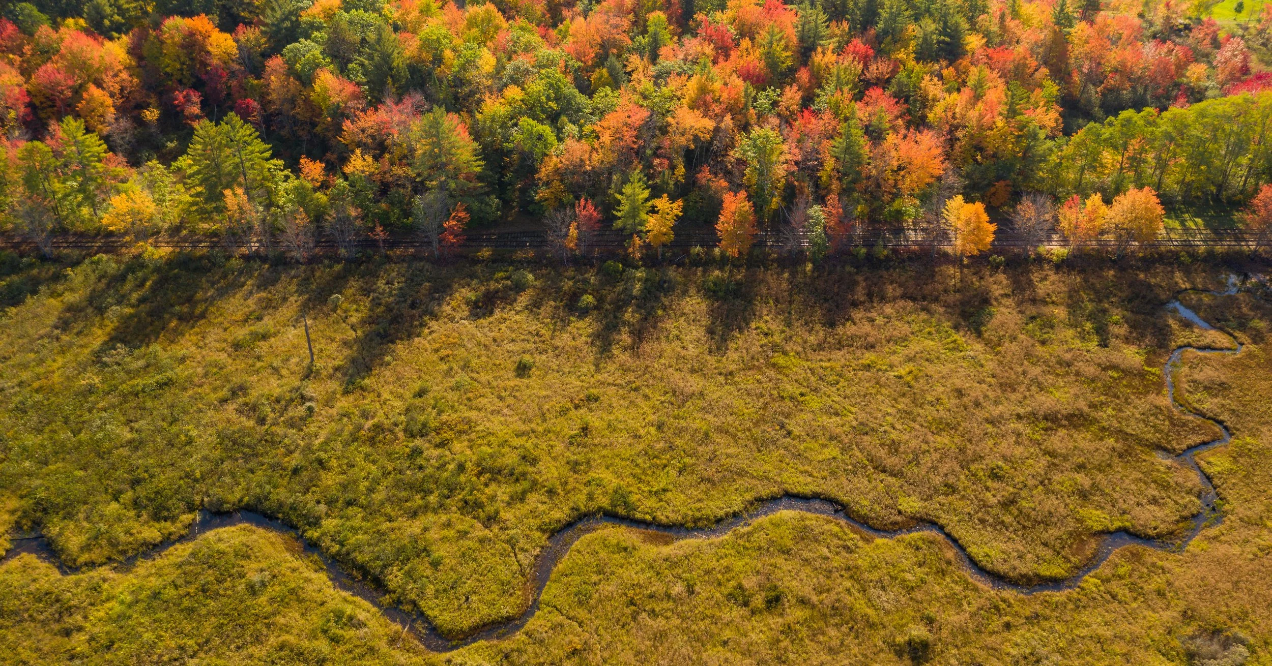 An aerial view of a forest in autumn with colorful trees in shades of red, orange, yellow, and green. A railway track runs through the middle of the forest, and a winding stream is visible at the bottom of the image.