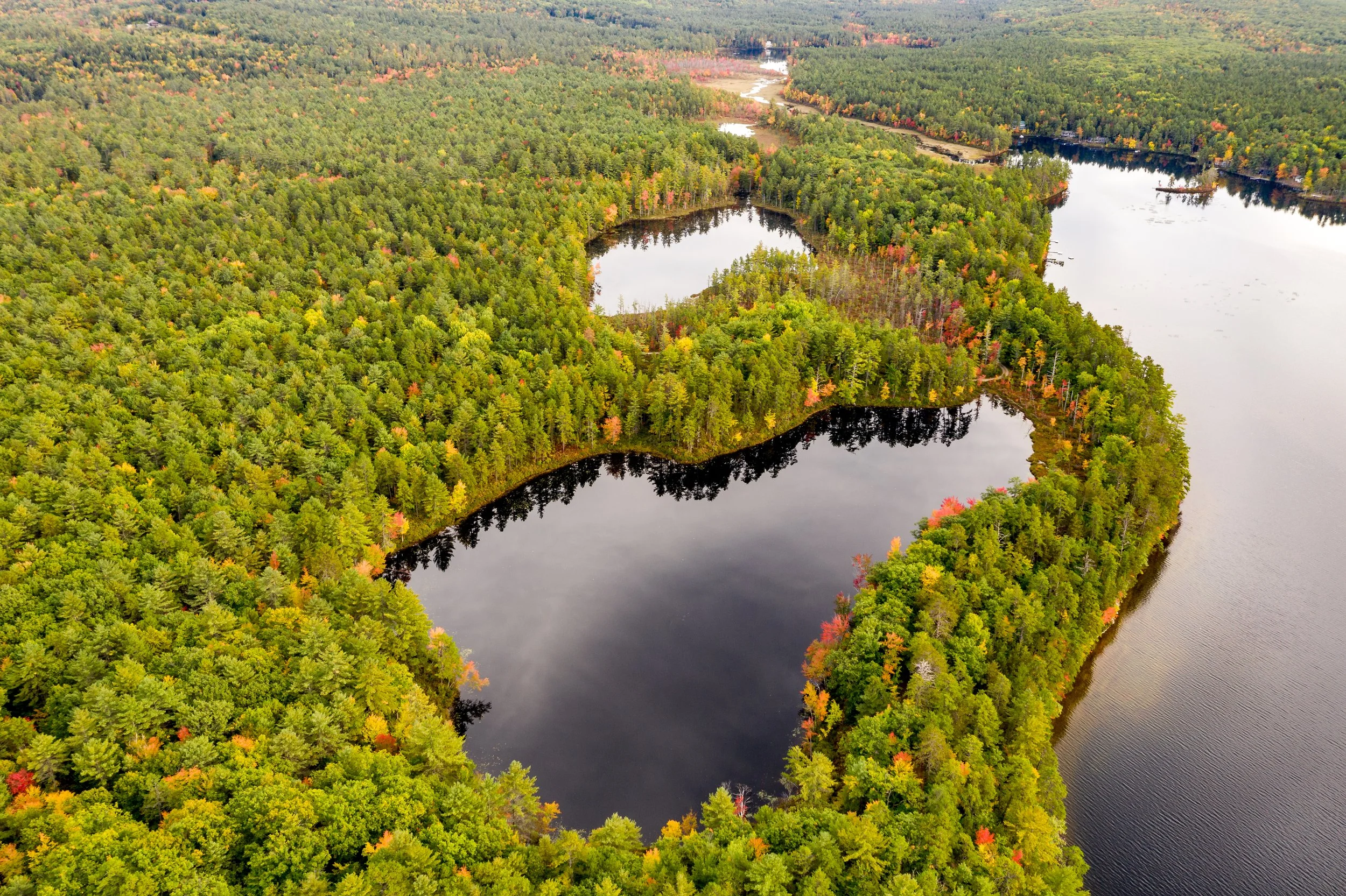 Aerial view of a forest with a river or lake winding through it, showing trees in fall colors.