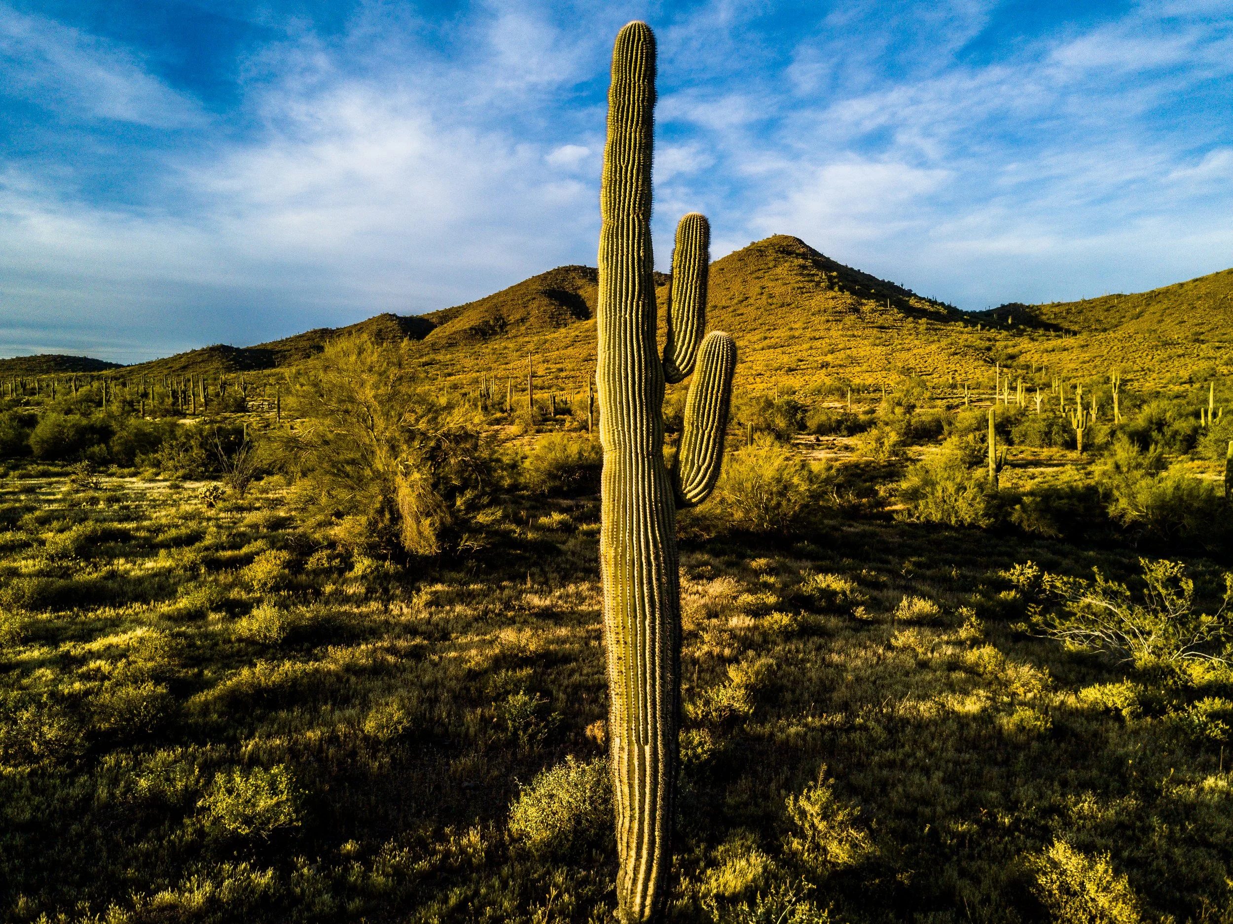 DavidStevensDrone-15.jpg