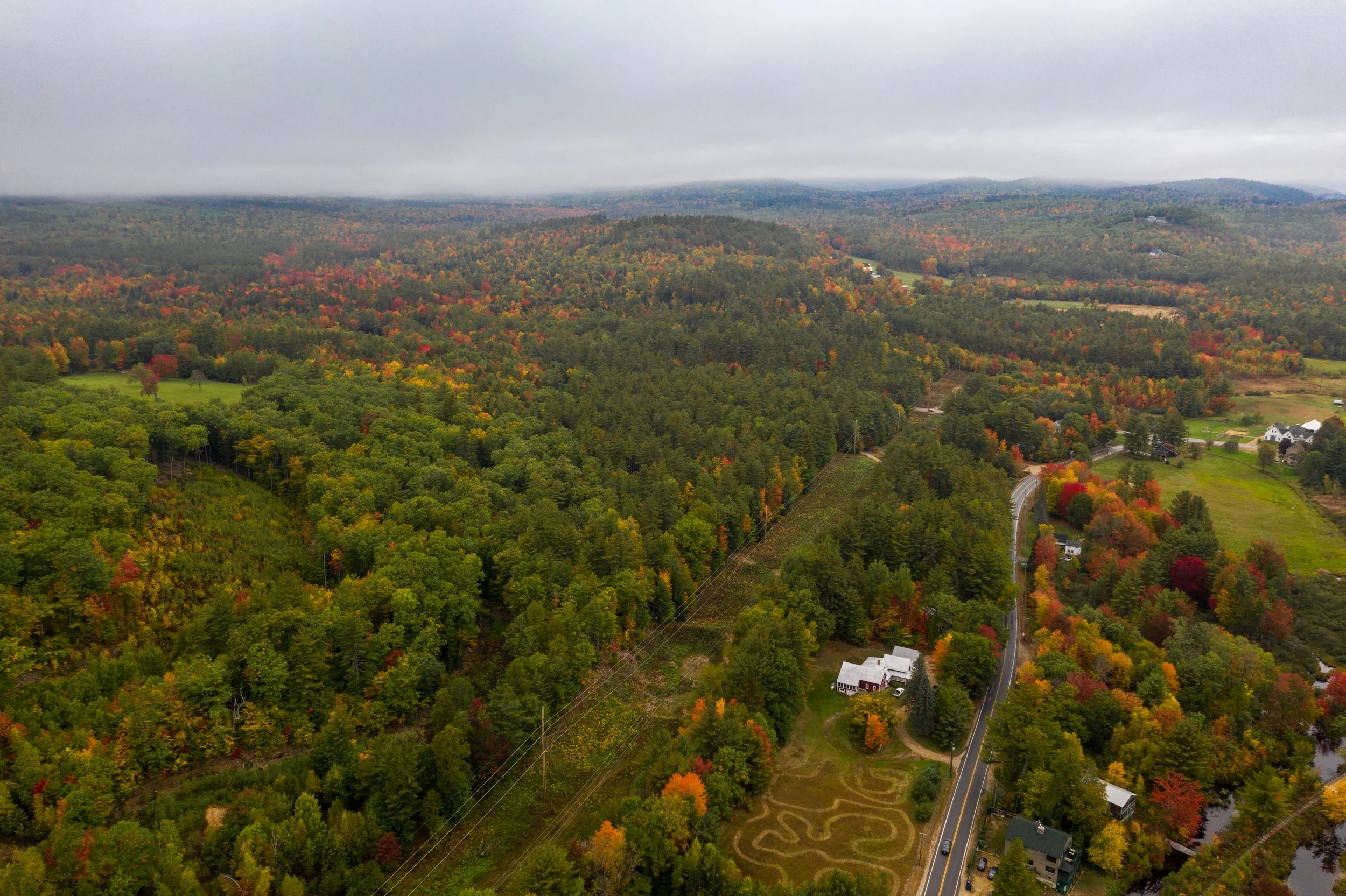 Aerial view of a lush forest in autumn with red, orange, and green foliage, showing a few houses, a winding road, and a cloudy sky overhead.