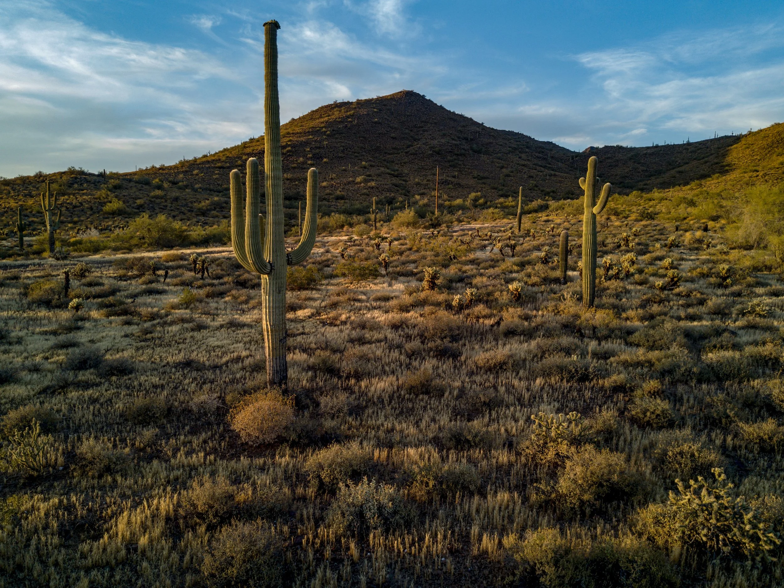 DavidStevensDrone-33.jpg