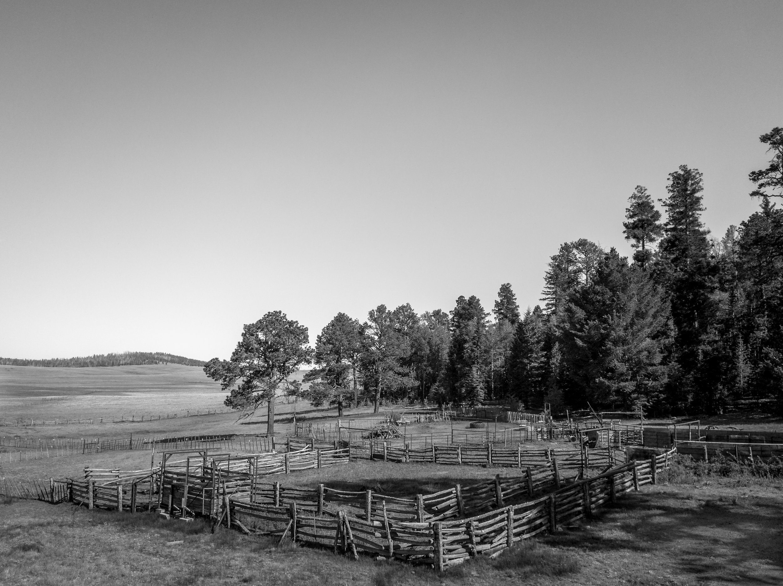 DavidStevensDrone-53.jpg