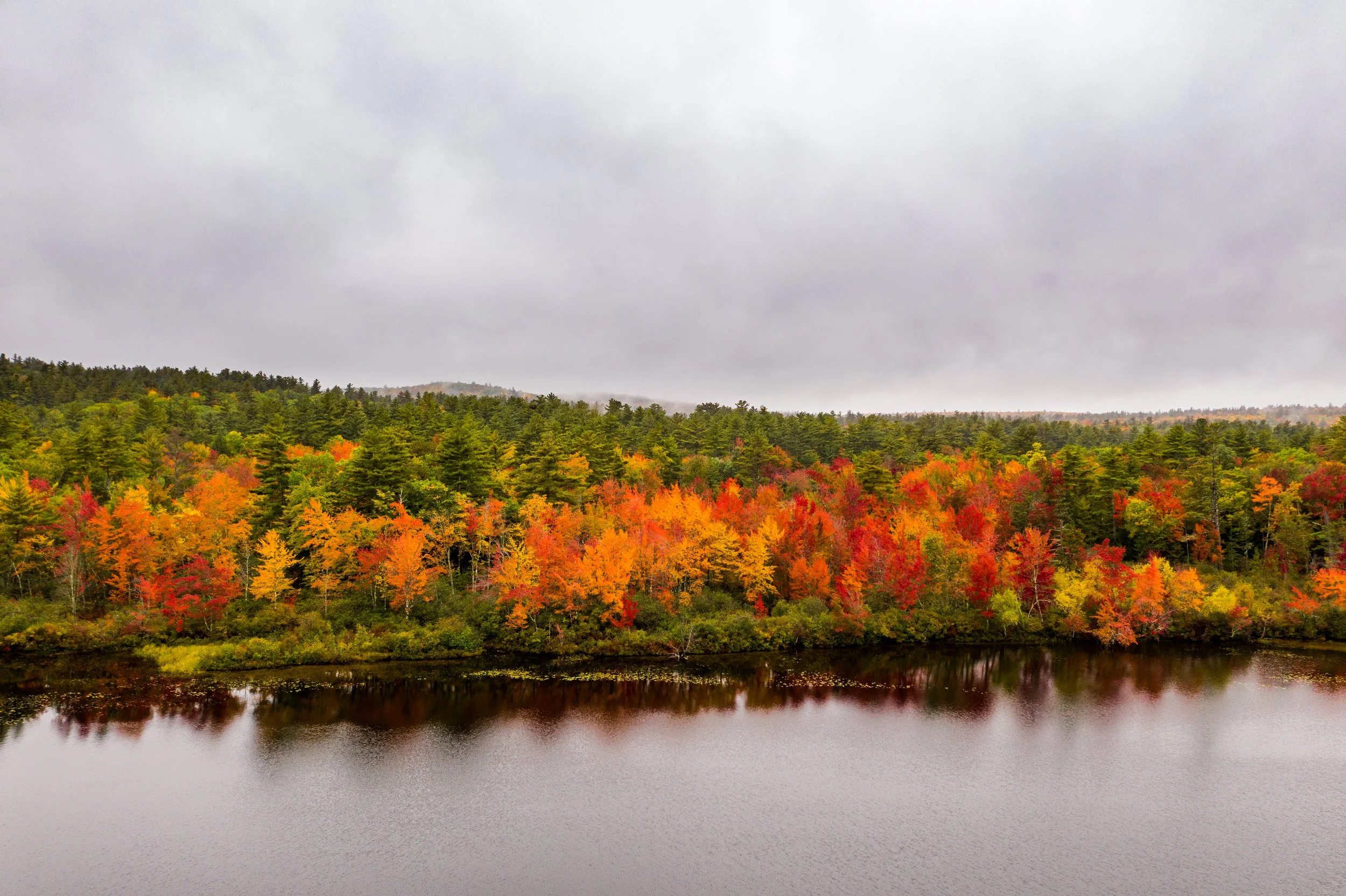A lake surrounded by colorful autumn trees with green, orange, and red leaves, under a cloudy sky.