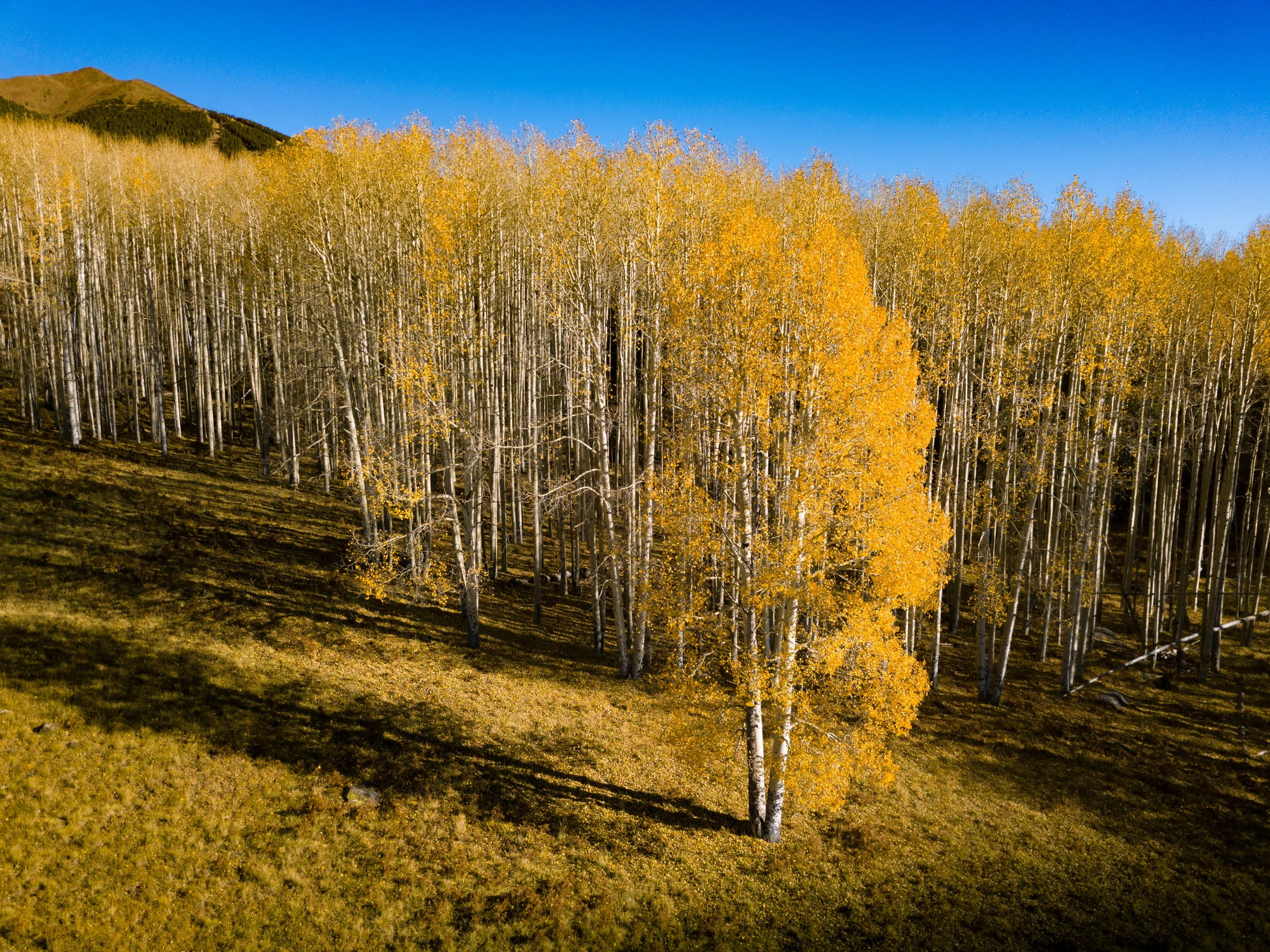 DavidStevensDrone-174.jpg
