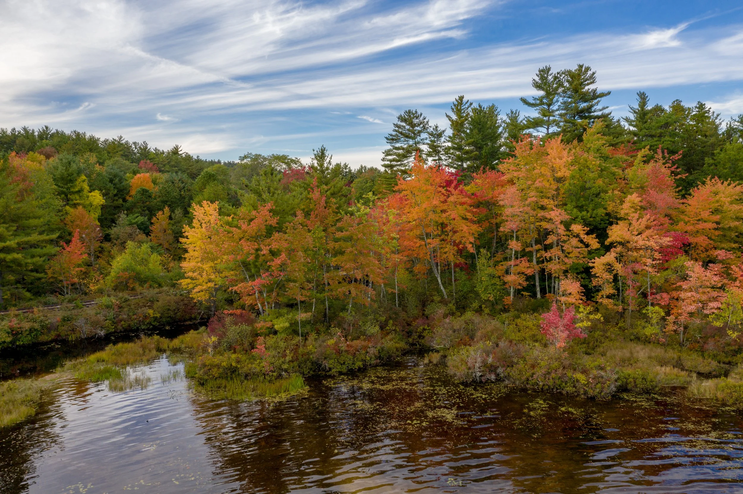 A scenic view of a forest with colorful fall foliage near a calm river under a partly cloudy sky.