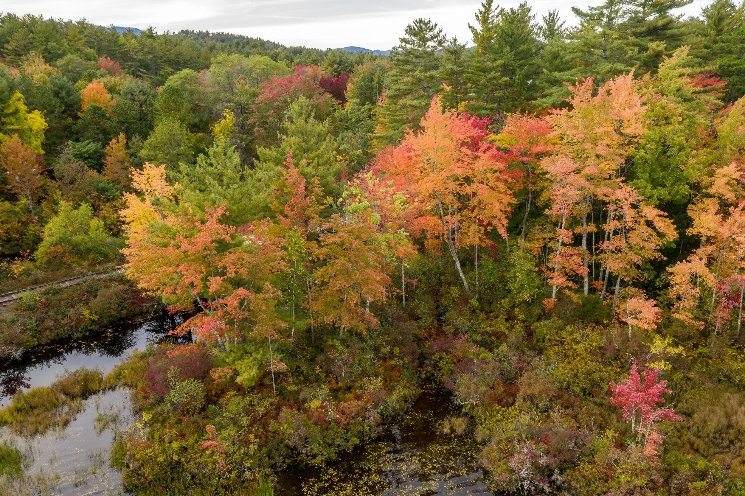 Aerial view of a forest with colorful fall foliage and a small winding river.