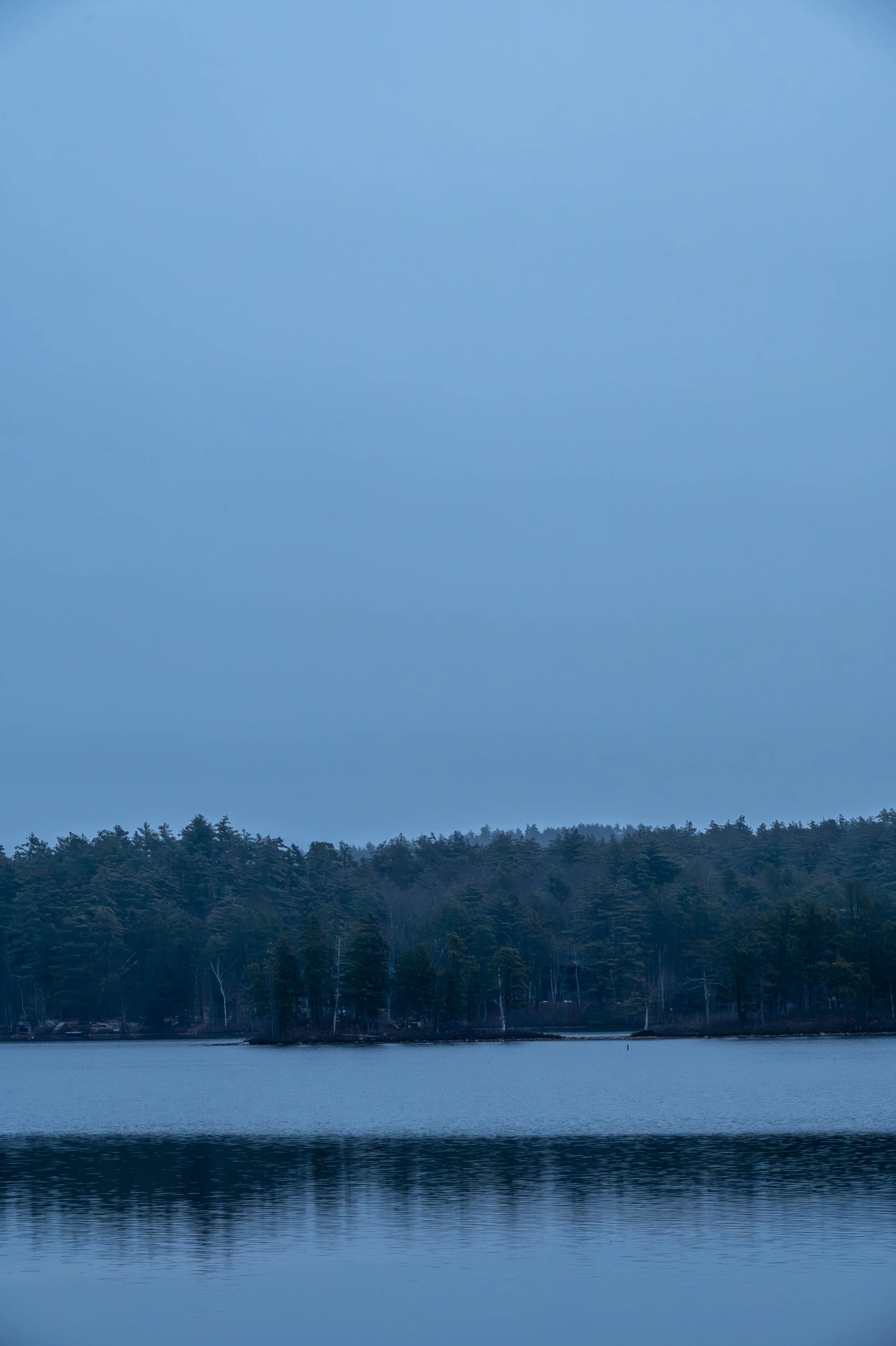 winter-9.jpg