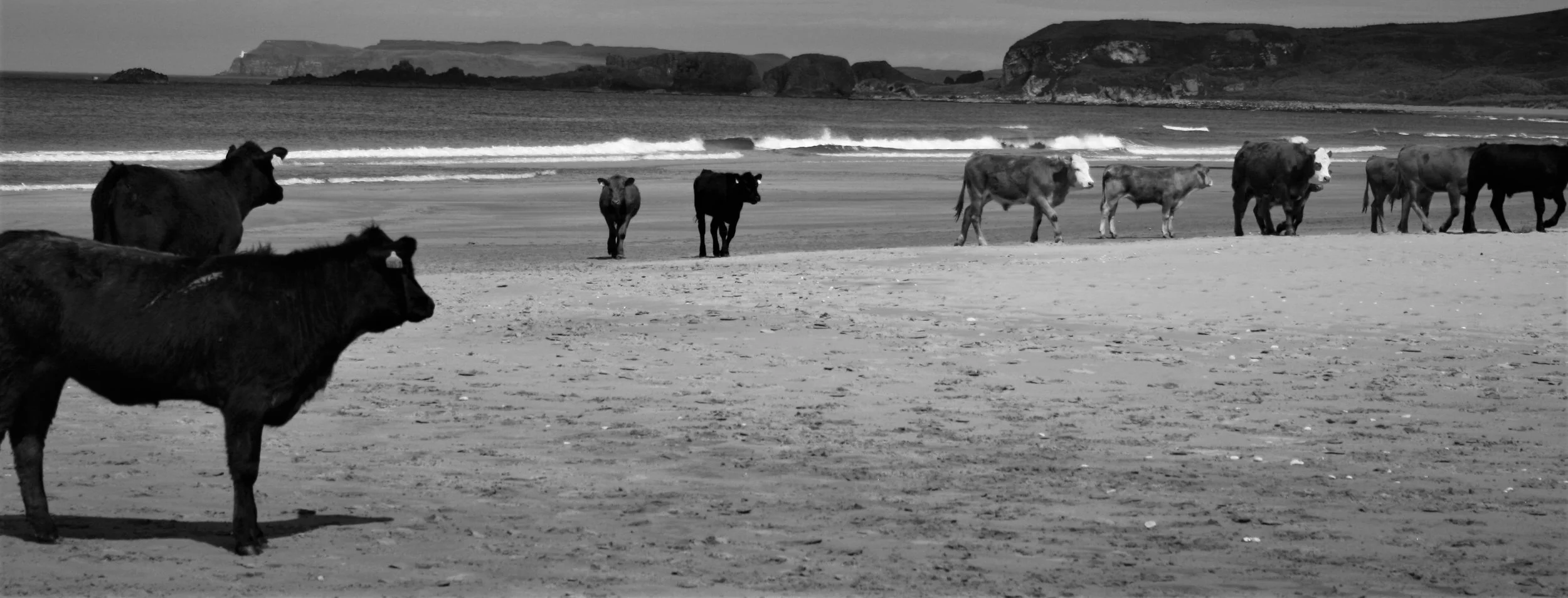 Whitepark Bay, NI