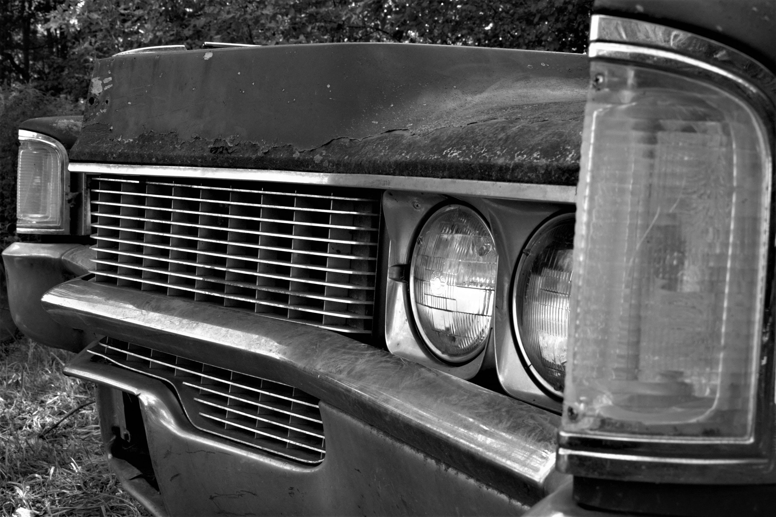 Grille