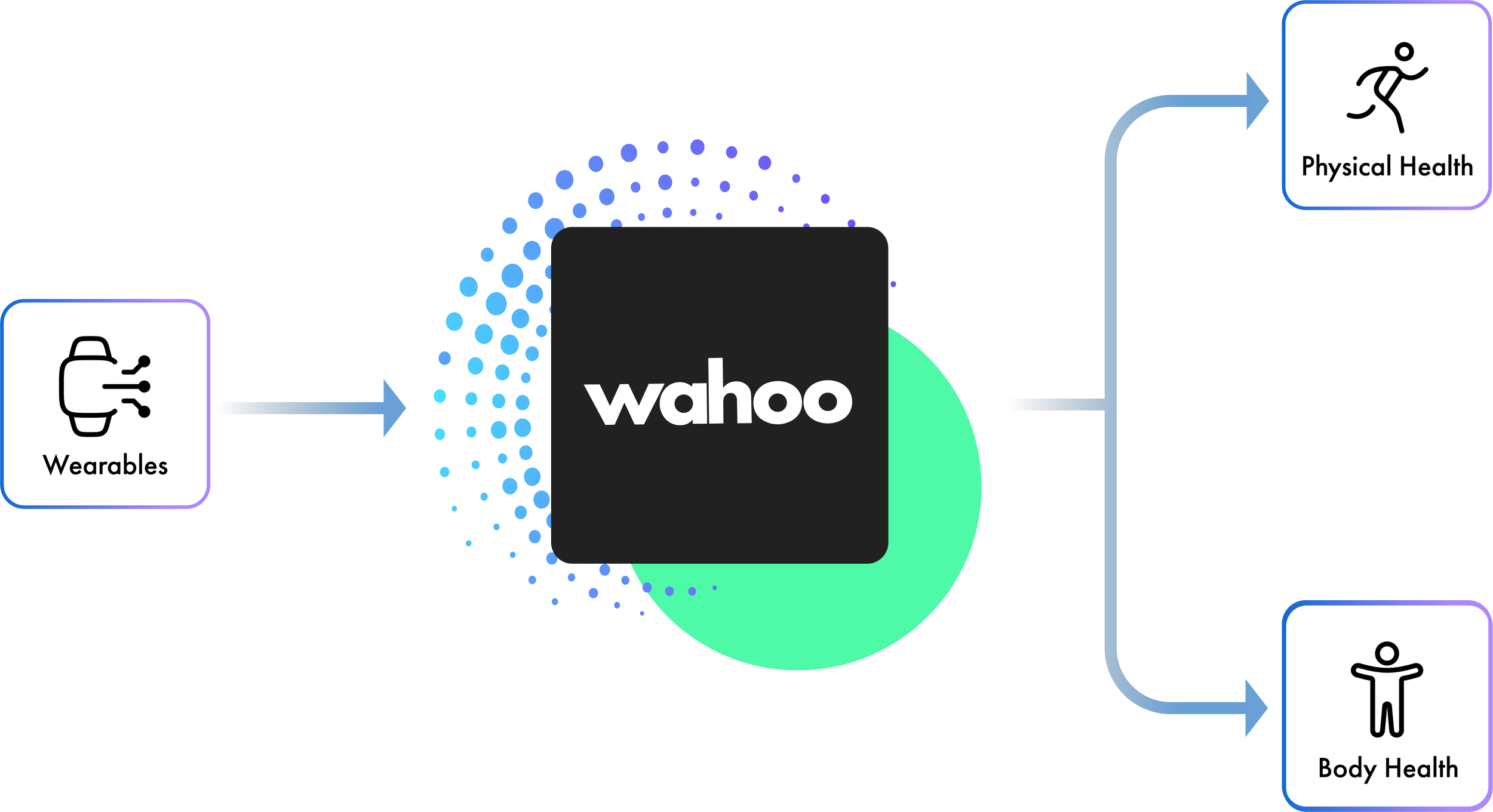 Wahoo