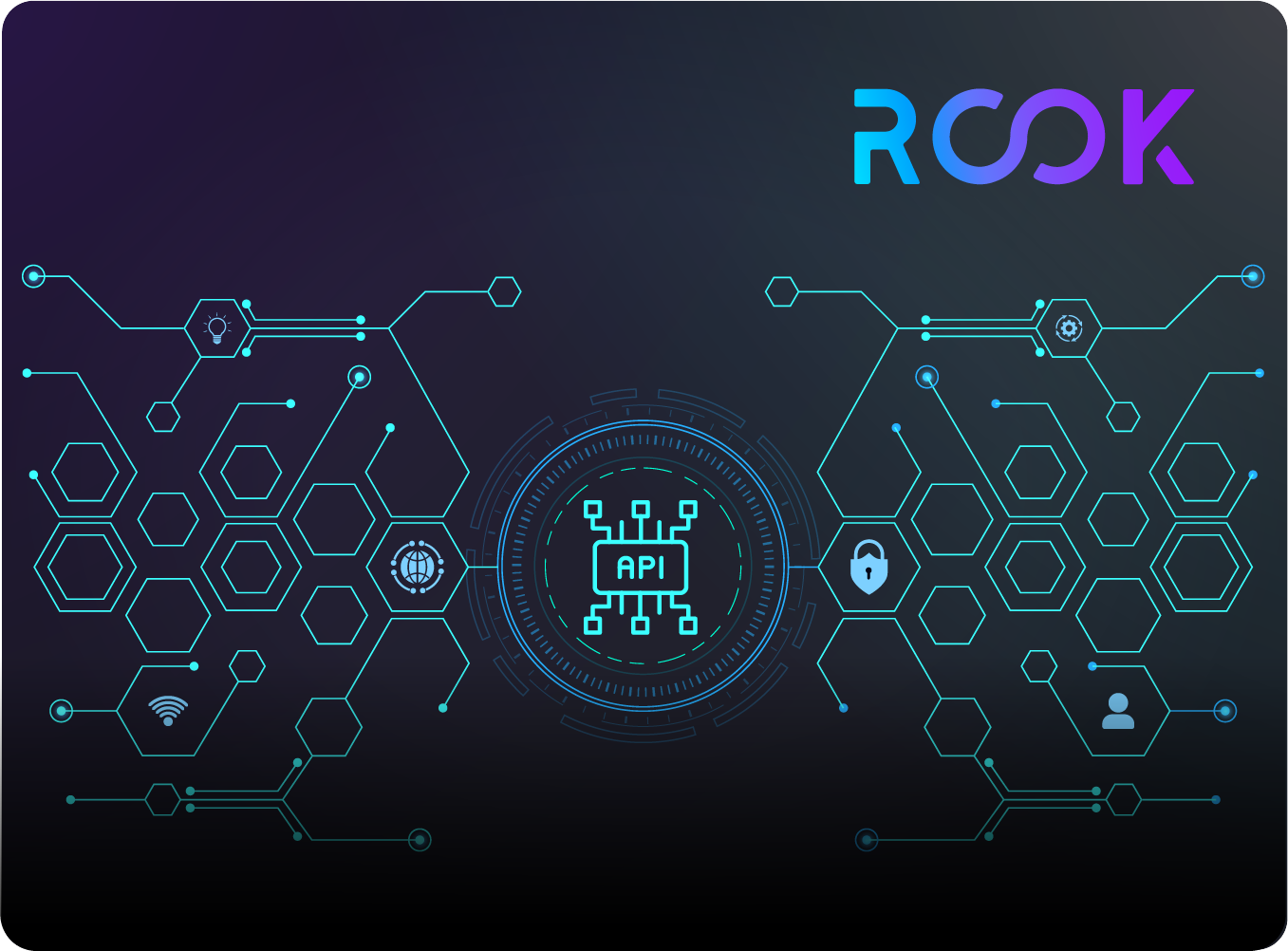 ROOK vs Validic: Which wearable integration platform is right for you?