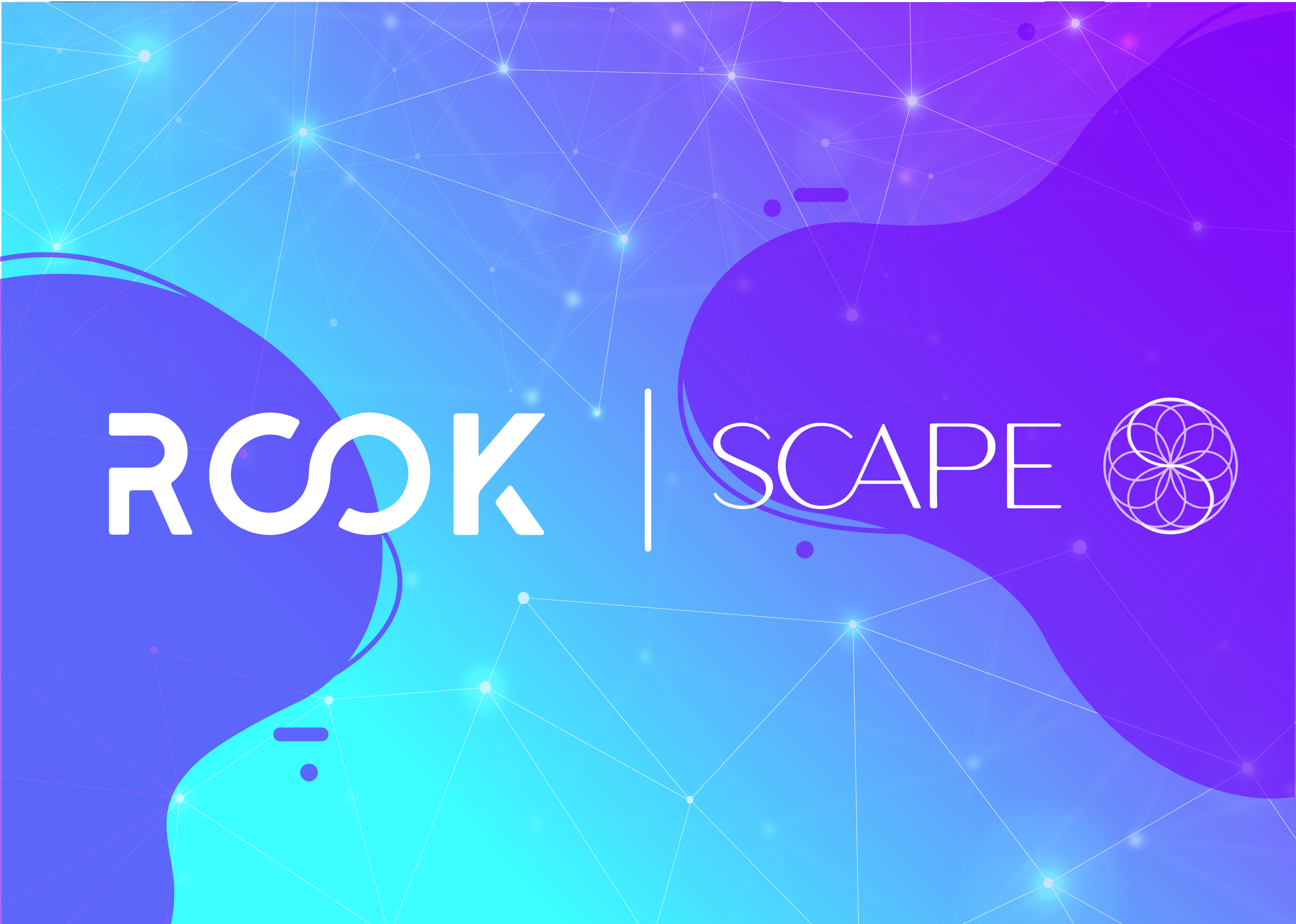Morgan Rook Dc Transforming wellness: Scape and ROOK team up for personalized health ...