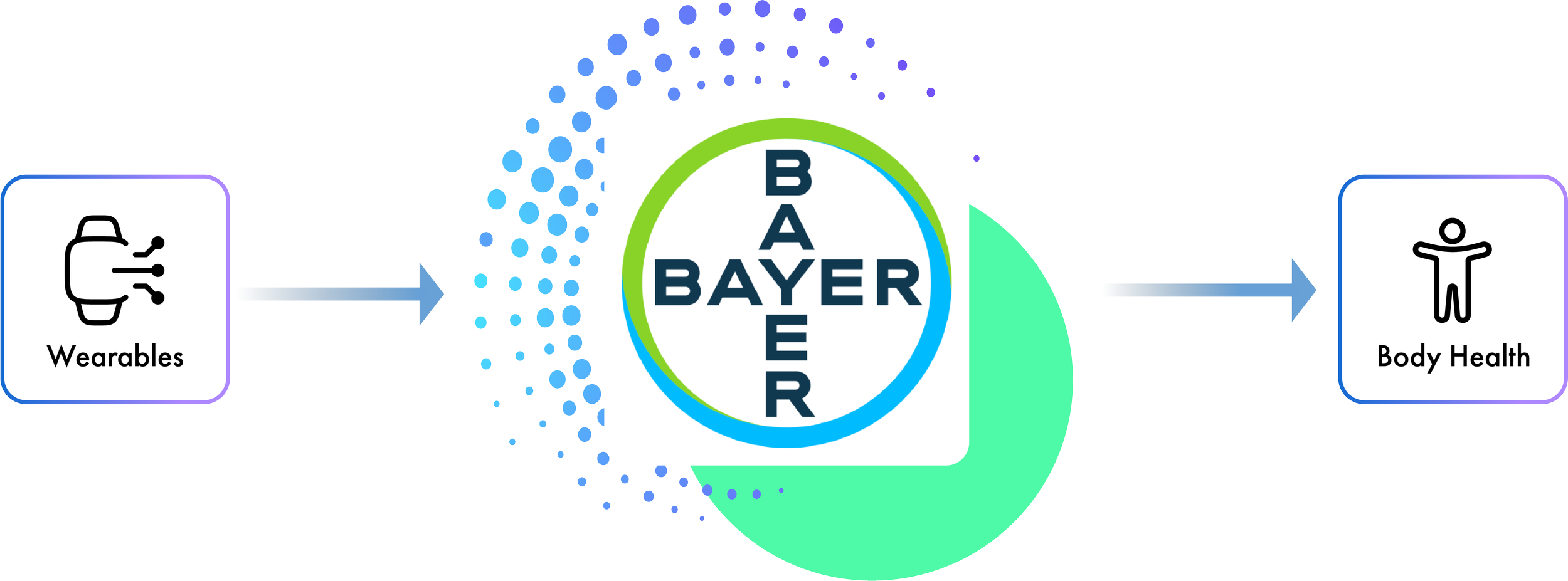 Bayer Data