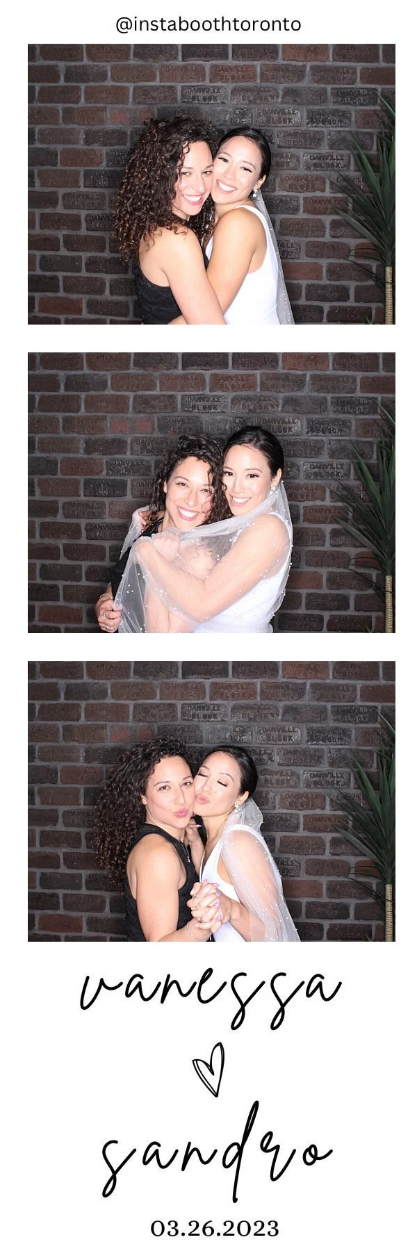 The Wedding of Vanessa & Sandro