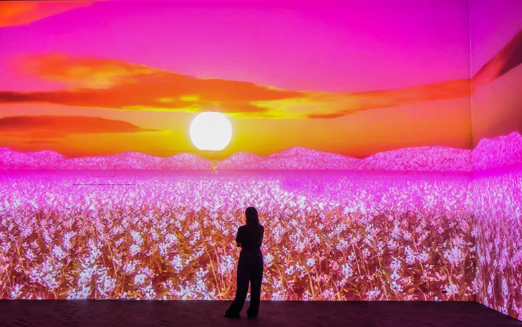 SAMSARA: Frameless Immersive Art Experience