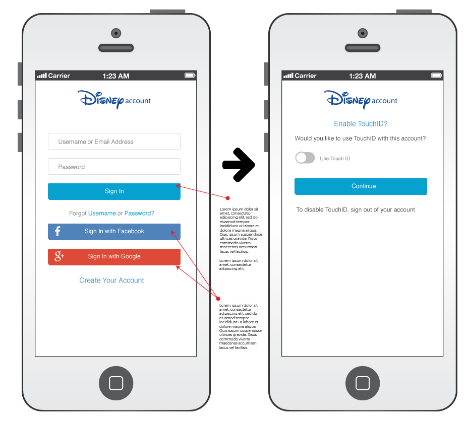 Disney - Setting up bio scan access (Copy)