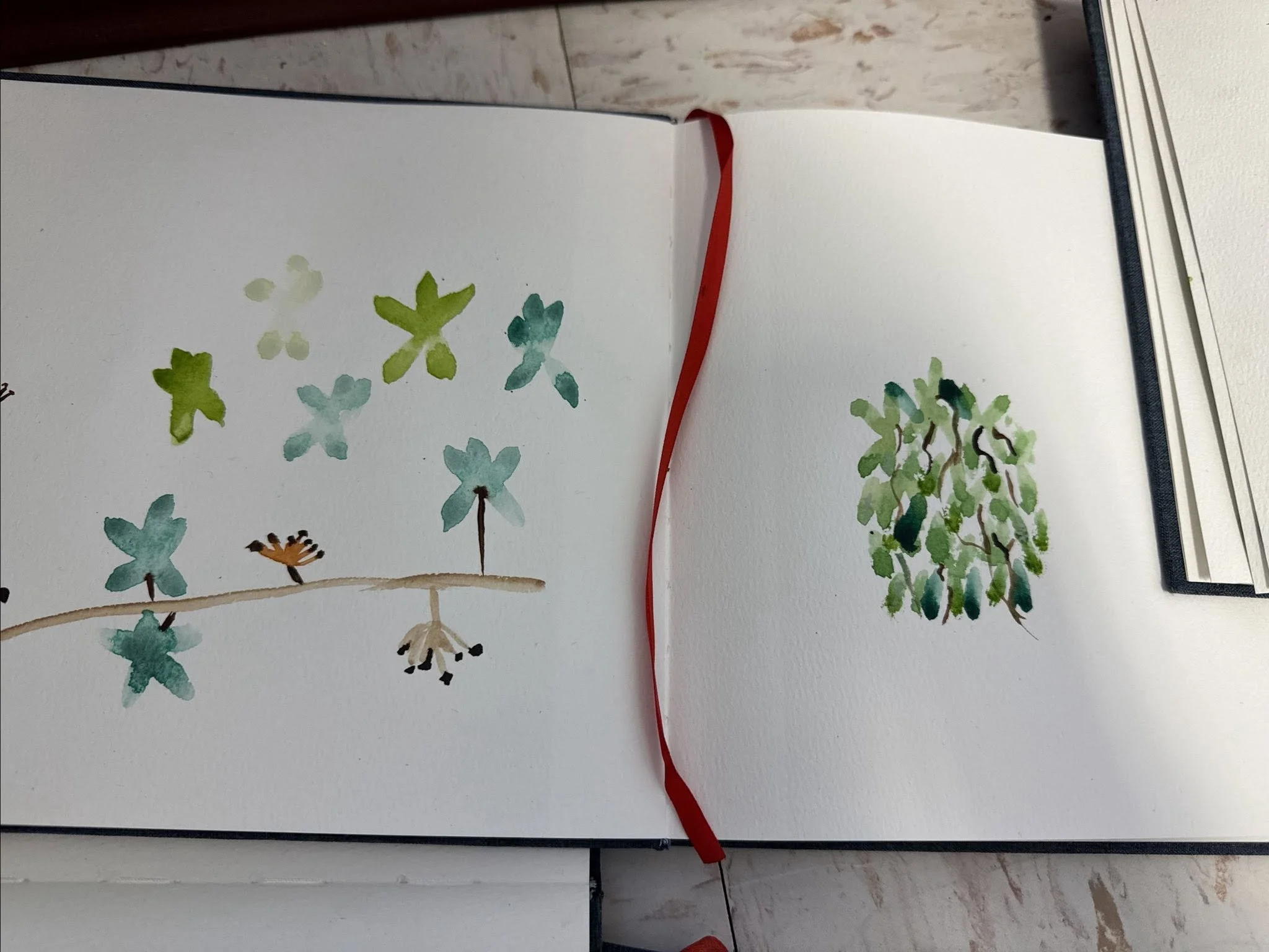 Open notebook with watercolor drawings of green and blue butterflies and plants, page held open by a red ribbon, on a polished wooden floor.