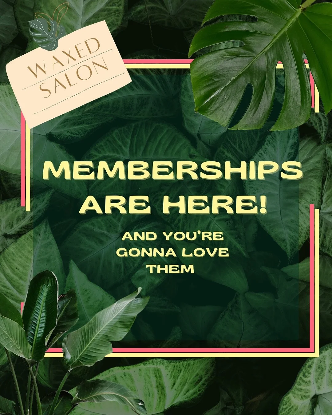 Introducing the glow-up you didn&rsquo;t know you needed: Waxing Memberships 💫

Think of it like your beauty subscription, one flat monthly rate, your favorite services on repeat, and zero stress about price changes or scheduling.

Why you&rsquo;ll 