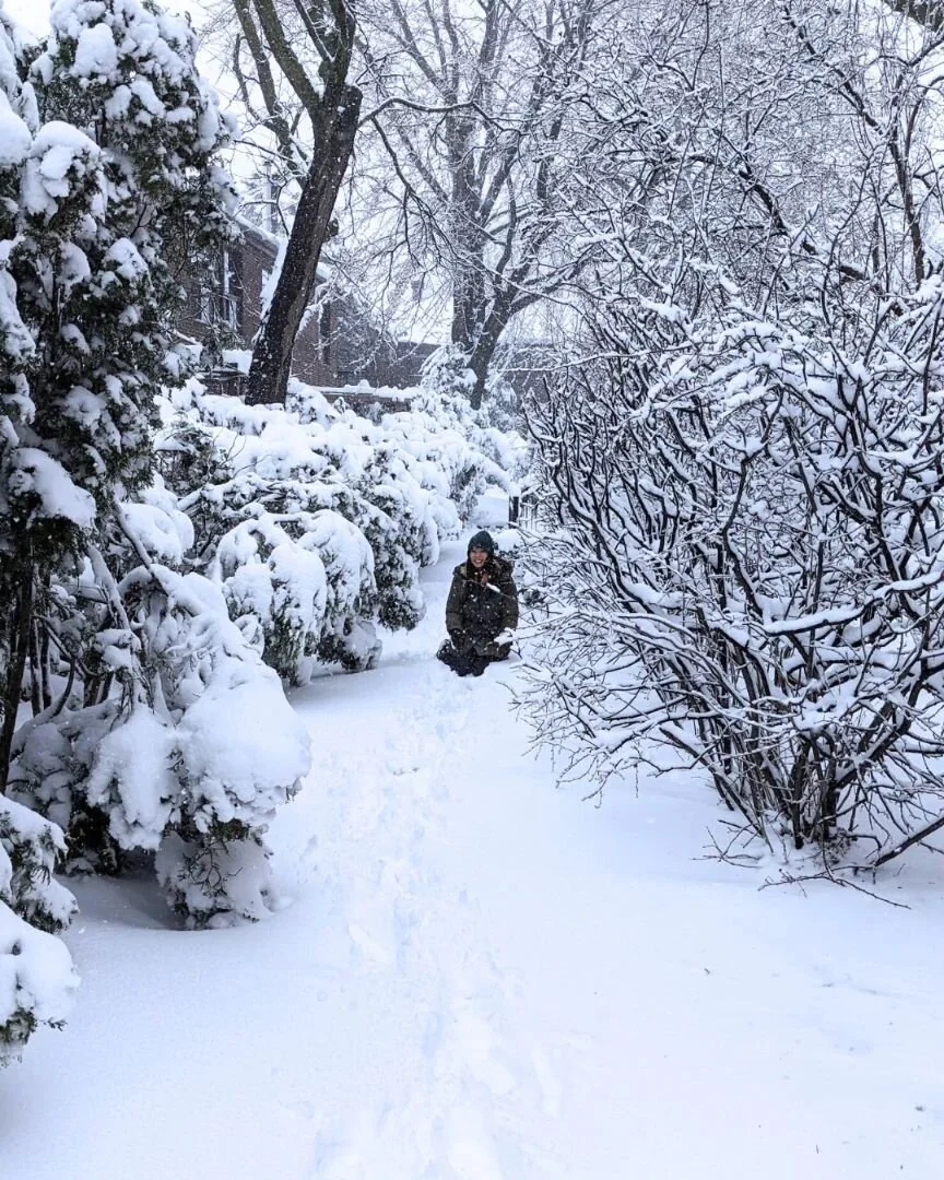 Cocoa bean visual data 5