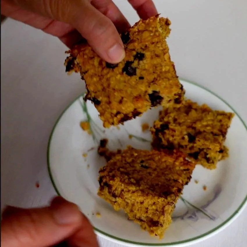 Pumpkin Oat Bars
