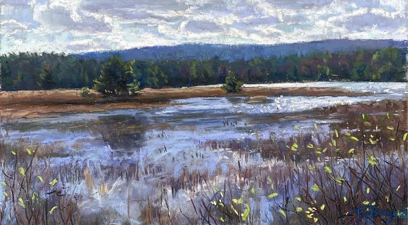 early_spring_marsh_takeyce_7x12_pastel.jpg
