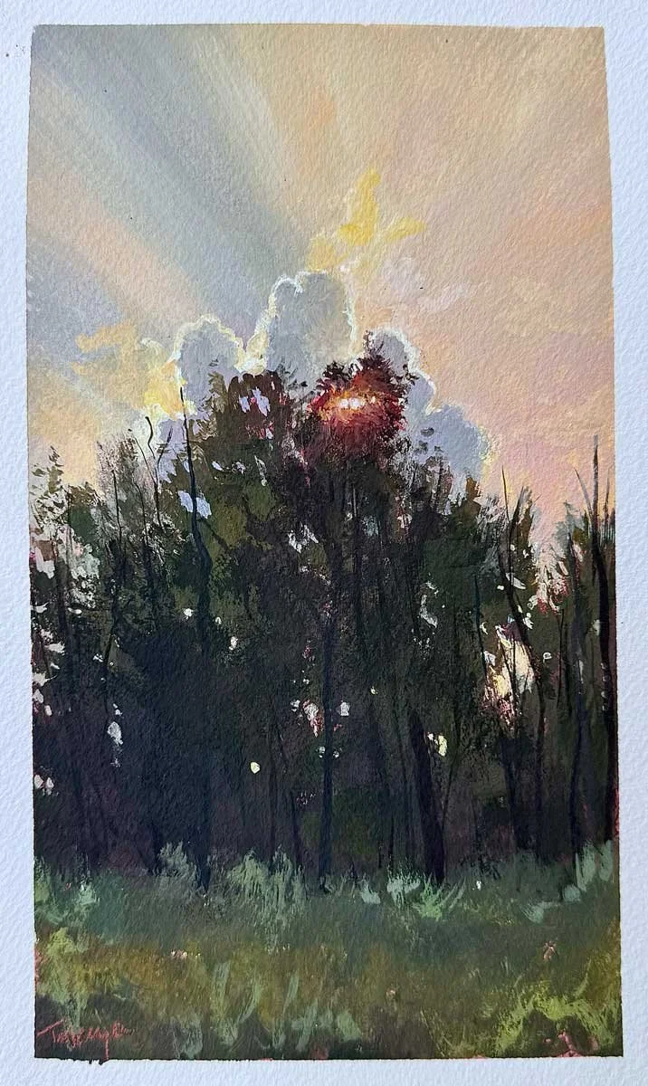 Sunset and Shadows