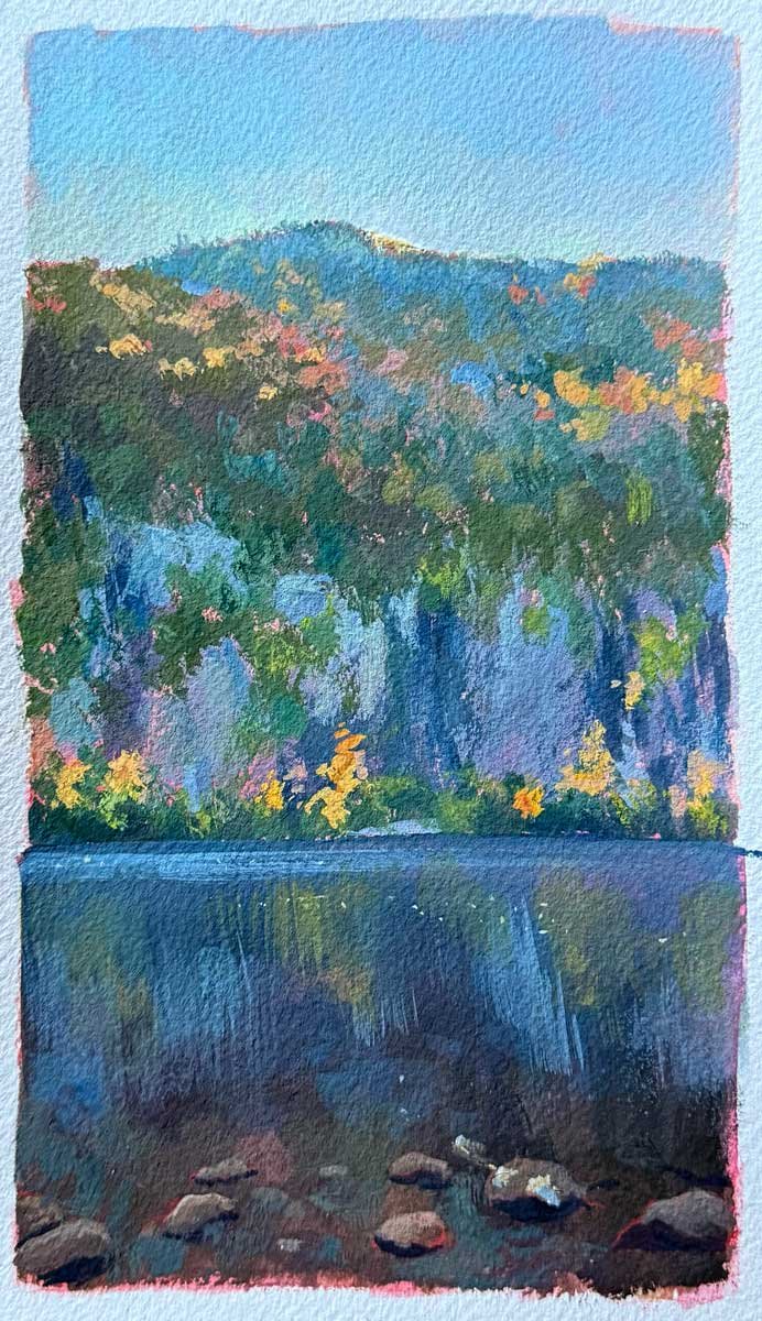 Pond Shadows
