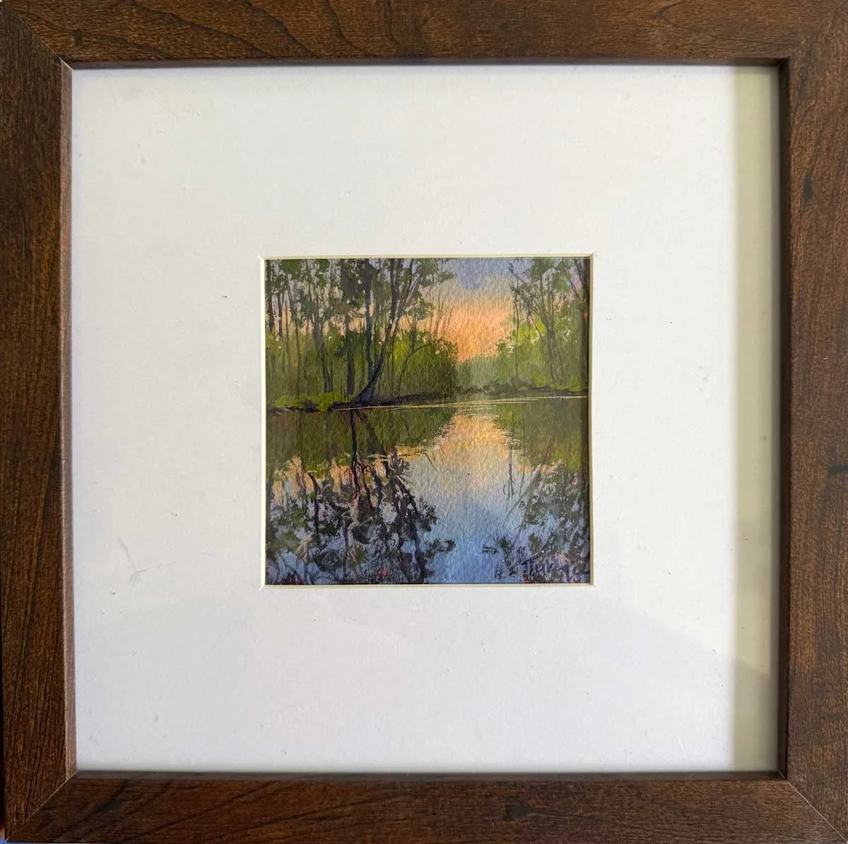 Evening Light