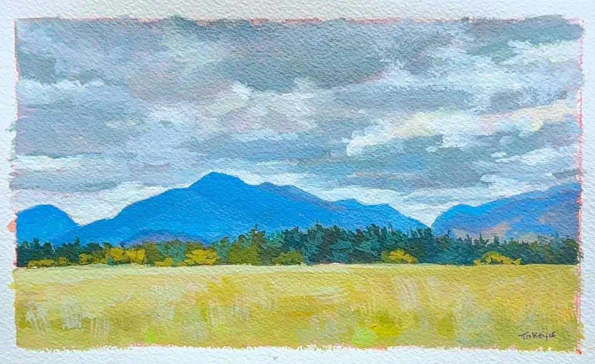 High Peaks View