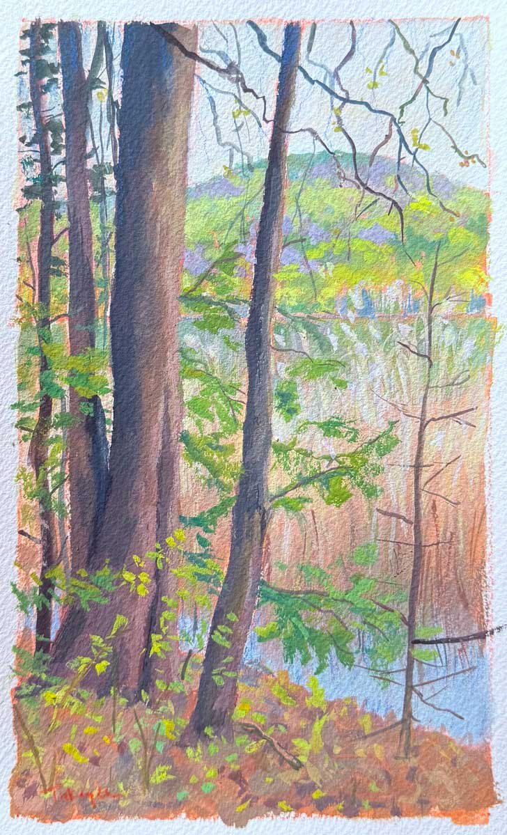 Springtime Lake