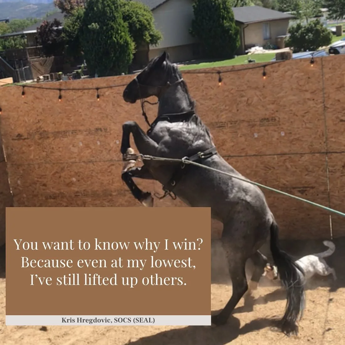 Which one did you re-read? More importantly what did you think when you read it?