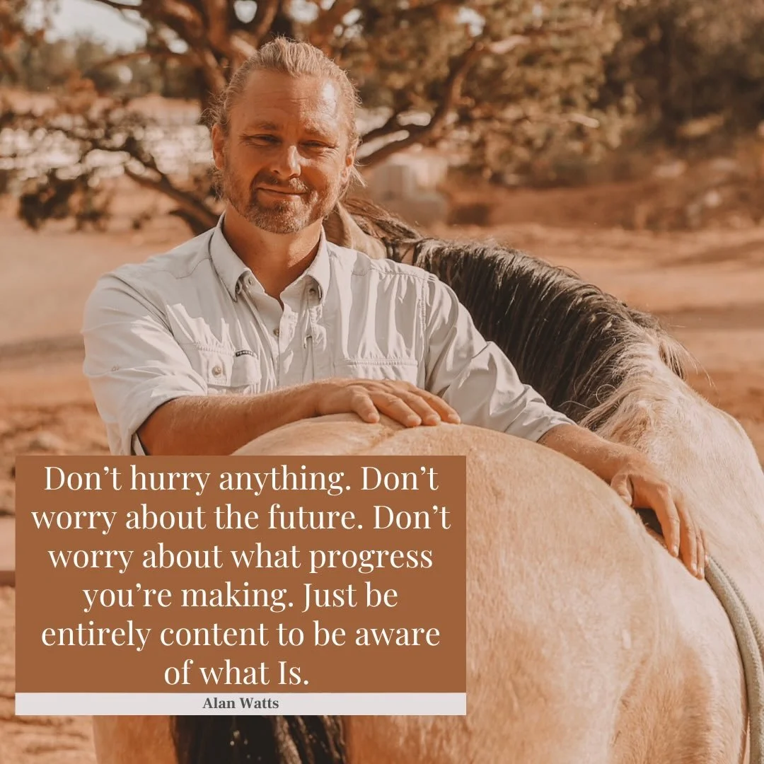 Thanksgiving didn&rsquo;t used to feel like gratitude.
It used to feel like loss.

When I ran away from home at 16&hellip;
When I survived two divorces&hellip;
When I made the excruciating choice to give two children up for adoption&hellip;
There wer