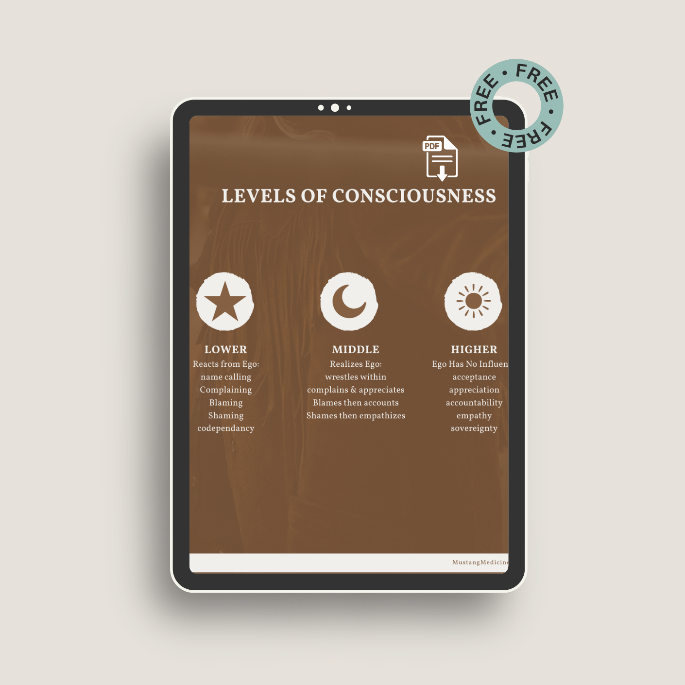 Understanding Levels of Consciousness