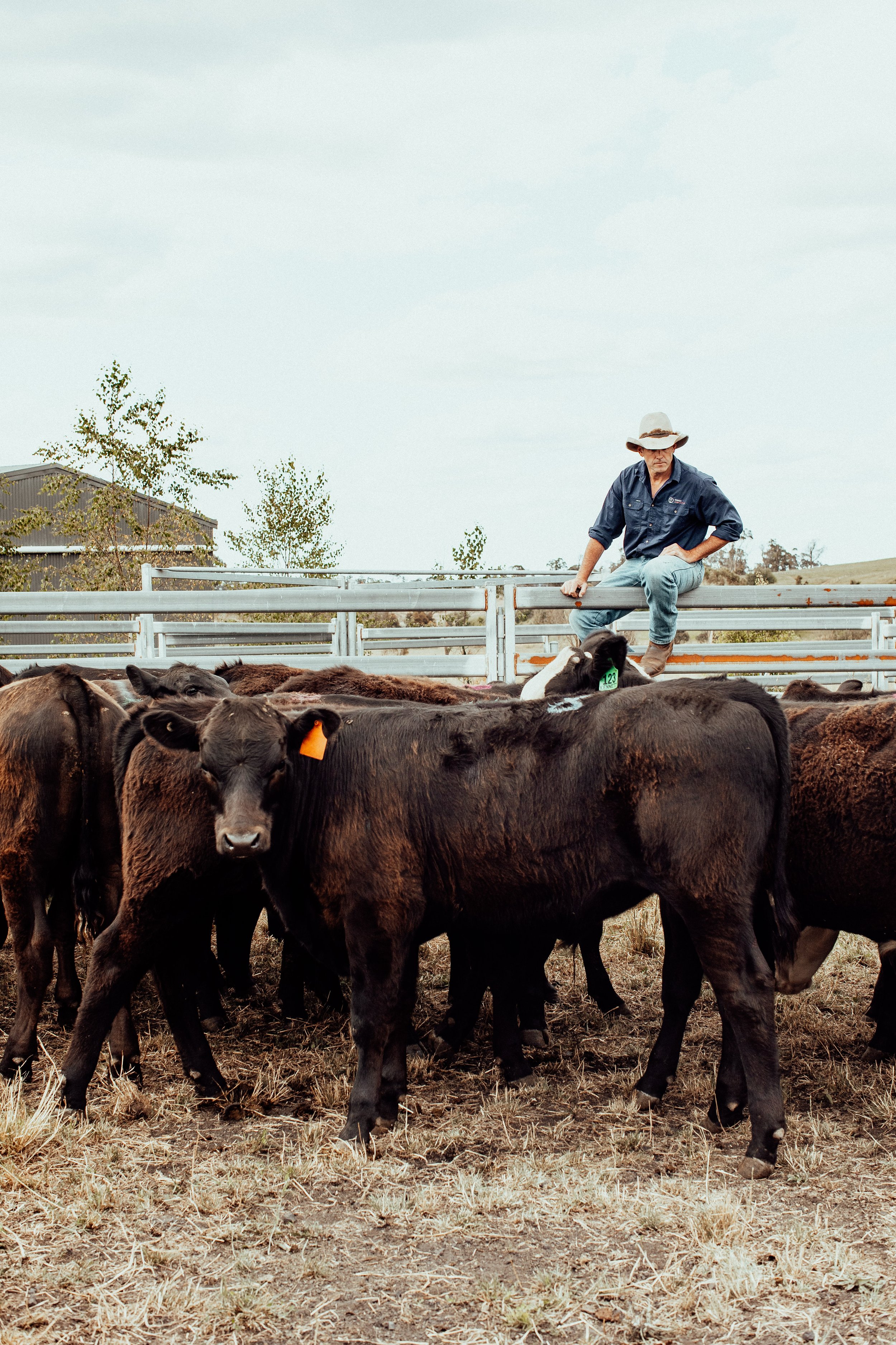 IAN-CARROLL-TERRAAGRICULTURE-11.jpg