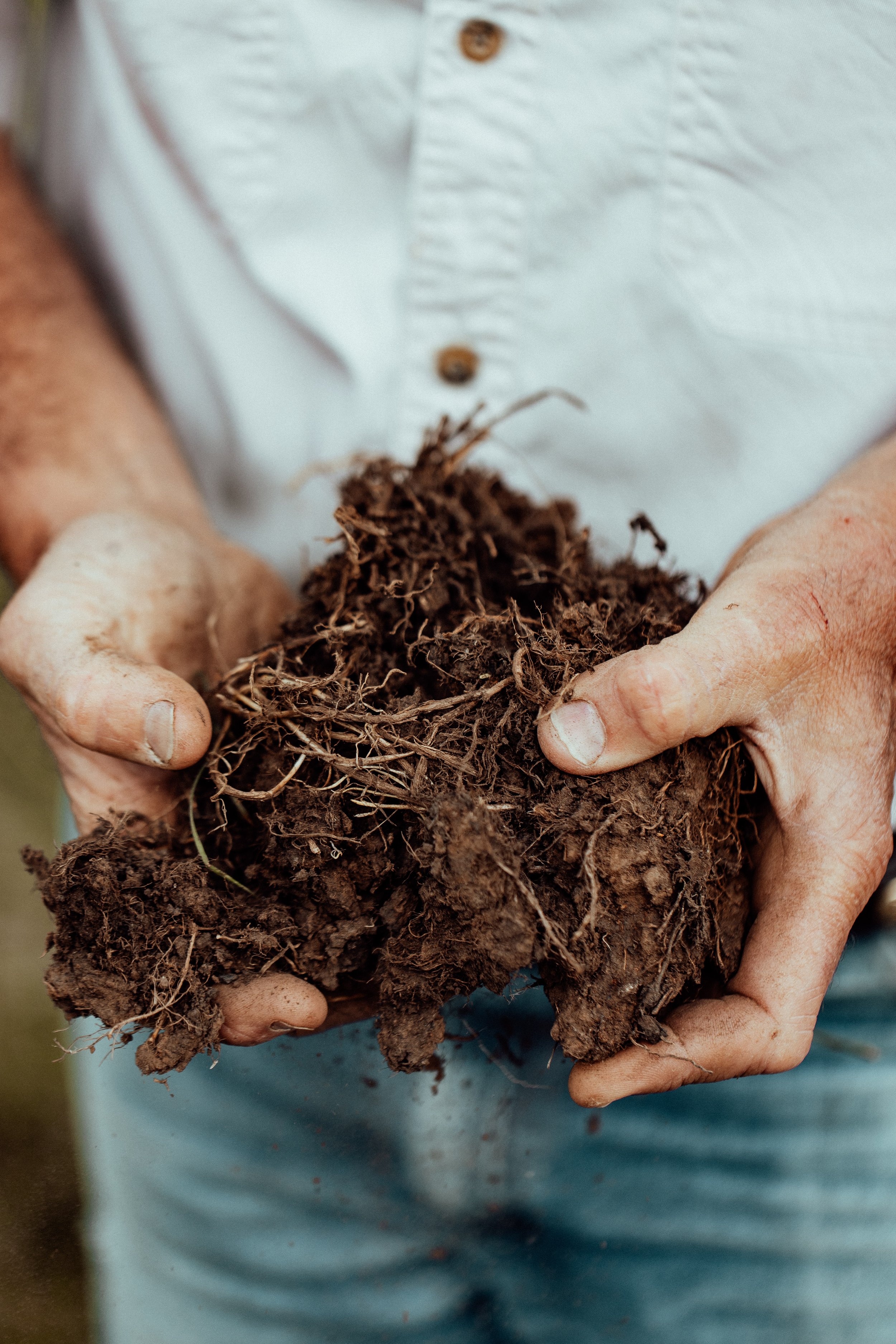 IAN-CARROLL-TERRAAGRICULTURE-216.jpg