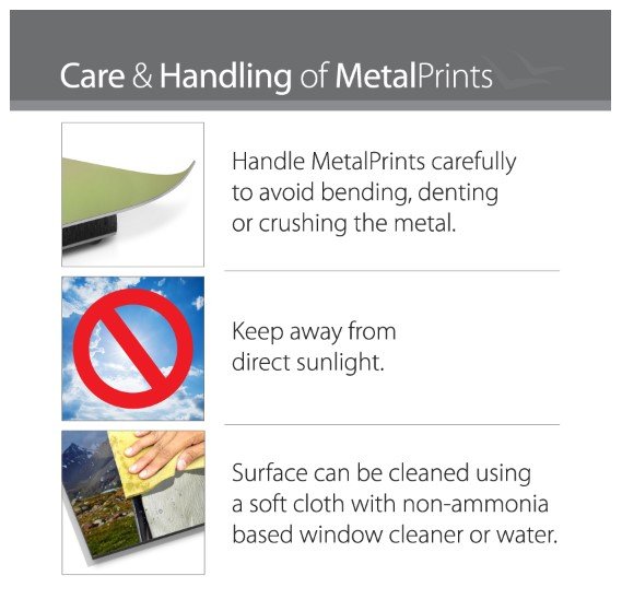 Care and Handle.jpg