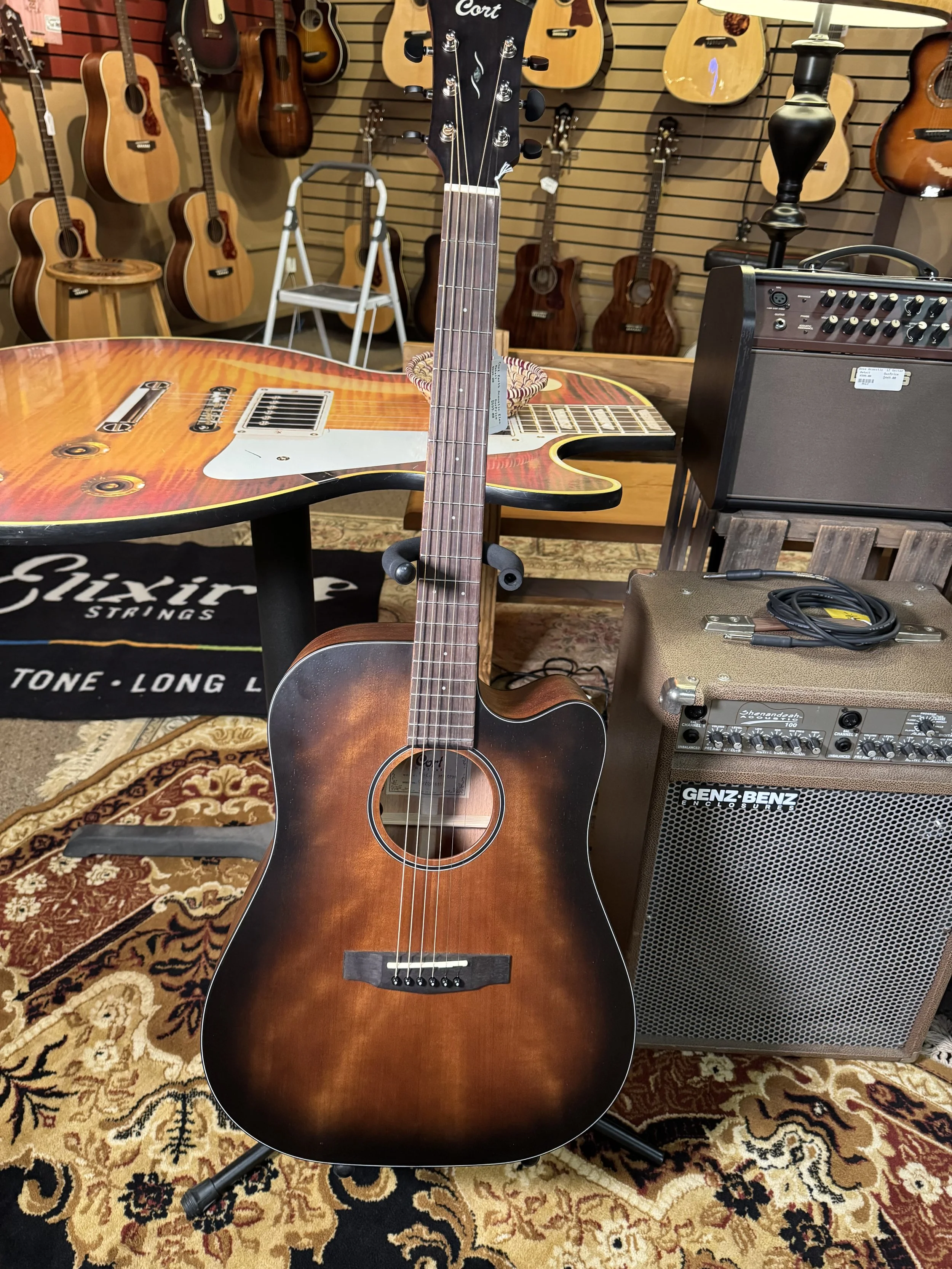 Brand New Cort Earth Series Acoustic Electric Guitar w/ Gig bag Free Shipping!