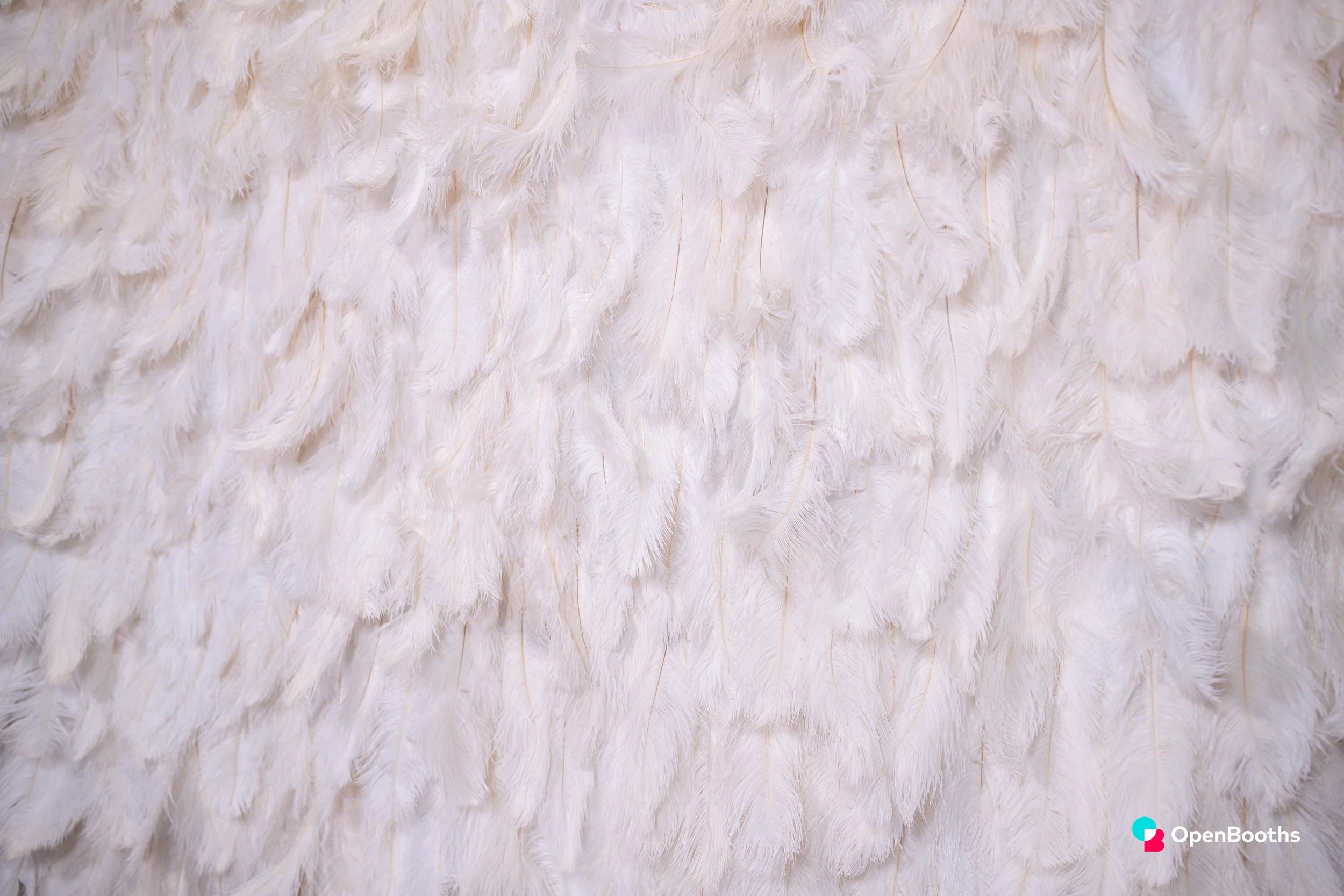 Open Booths Feather Wall Backdrop