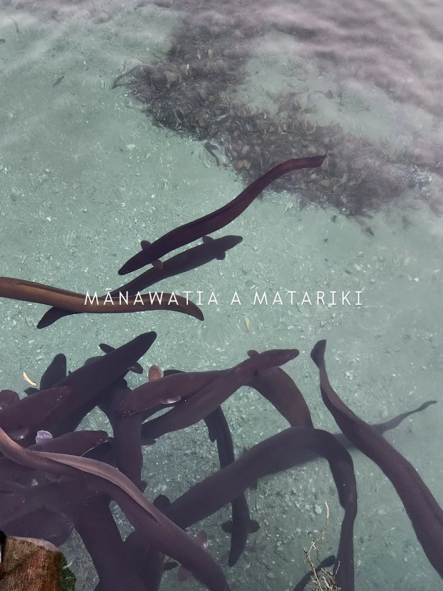 Mānawatia a Matariki! We are closed for the long weekend to spend time with whānau. Safe travels if you are travelling, stay warm, look out for each other. It's been a wild week of weather across the motu, giving thanks to friends, family, patrons an