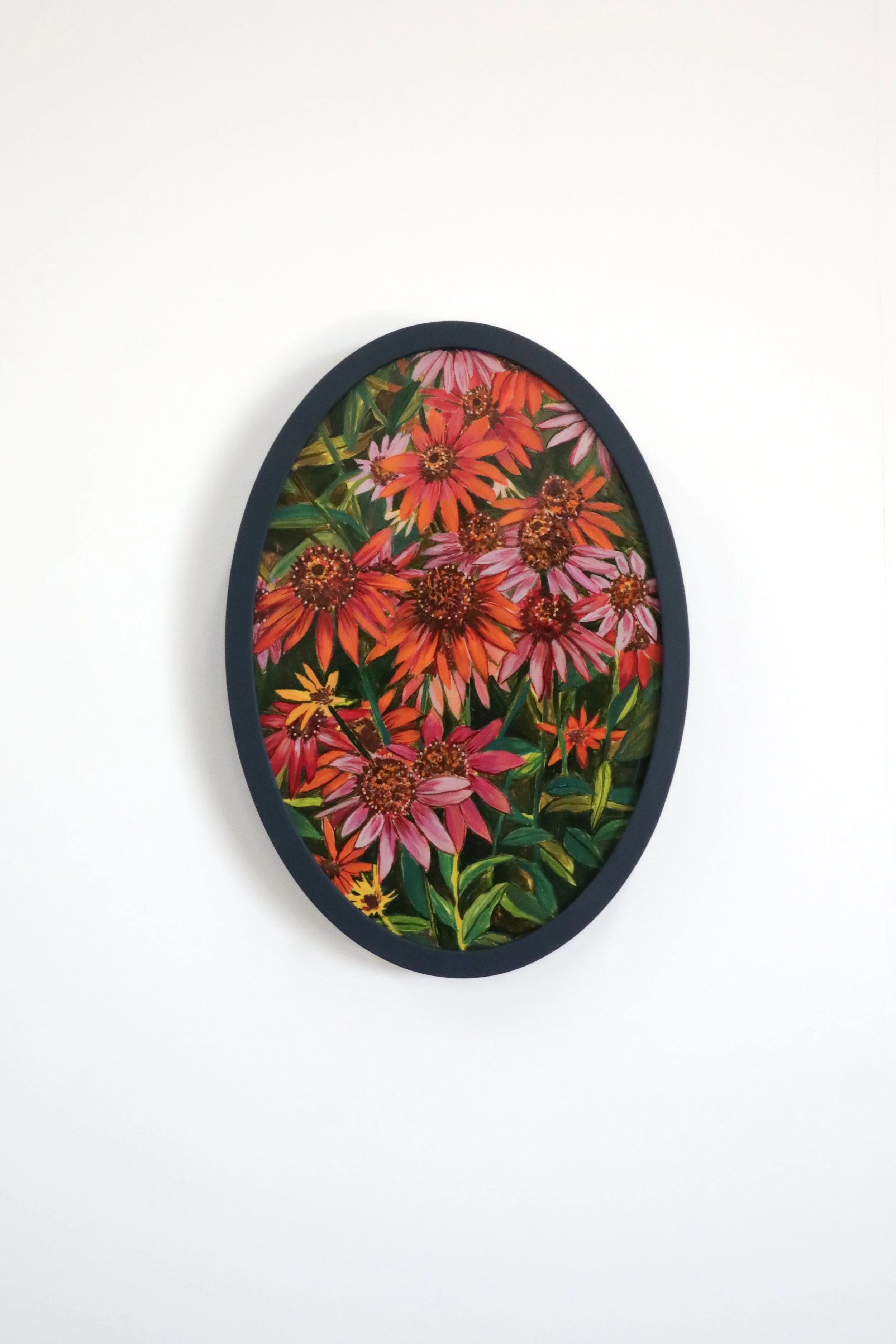 Echinacea (Magical Bridge)