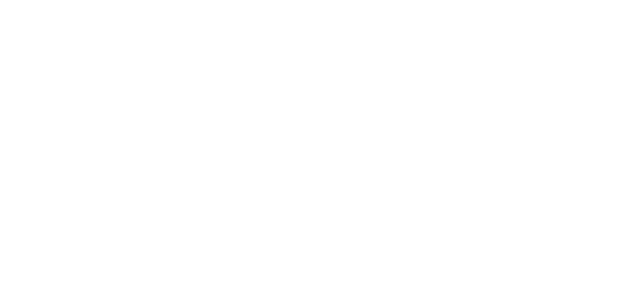 P - Full Wordmark - Primary_White.png