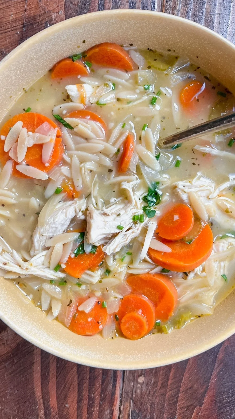Lemon Chicken and Orzo Soup — Cailee Eats