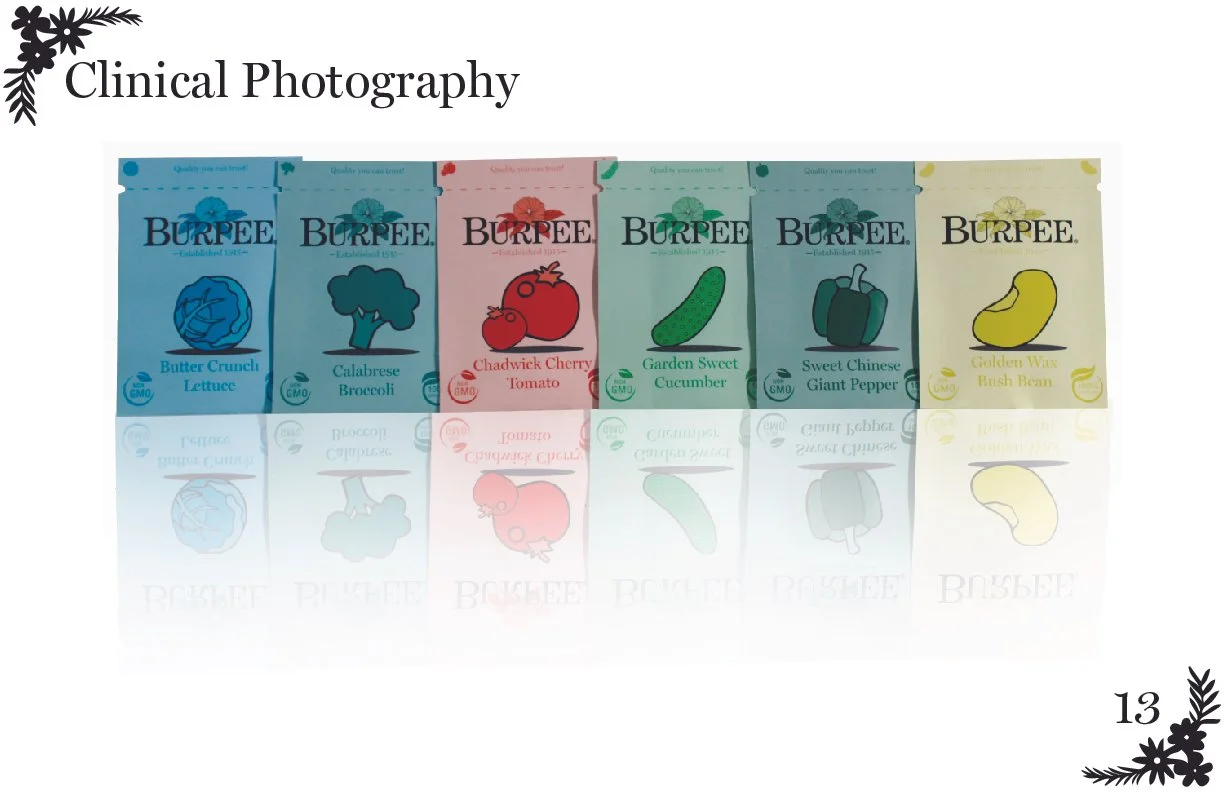 Brand Book illistrator-16.jpg