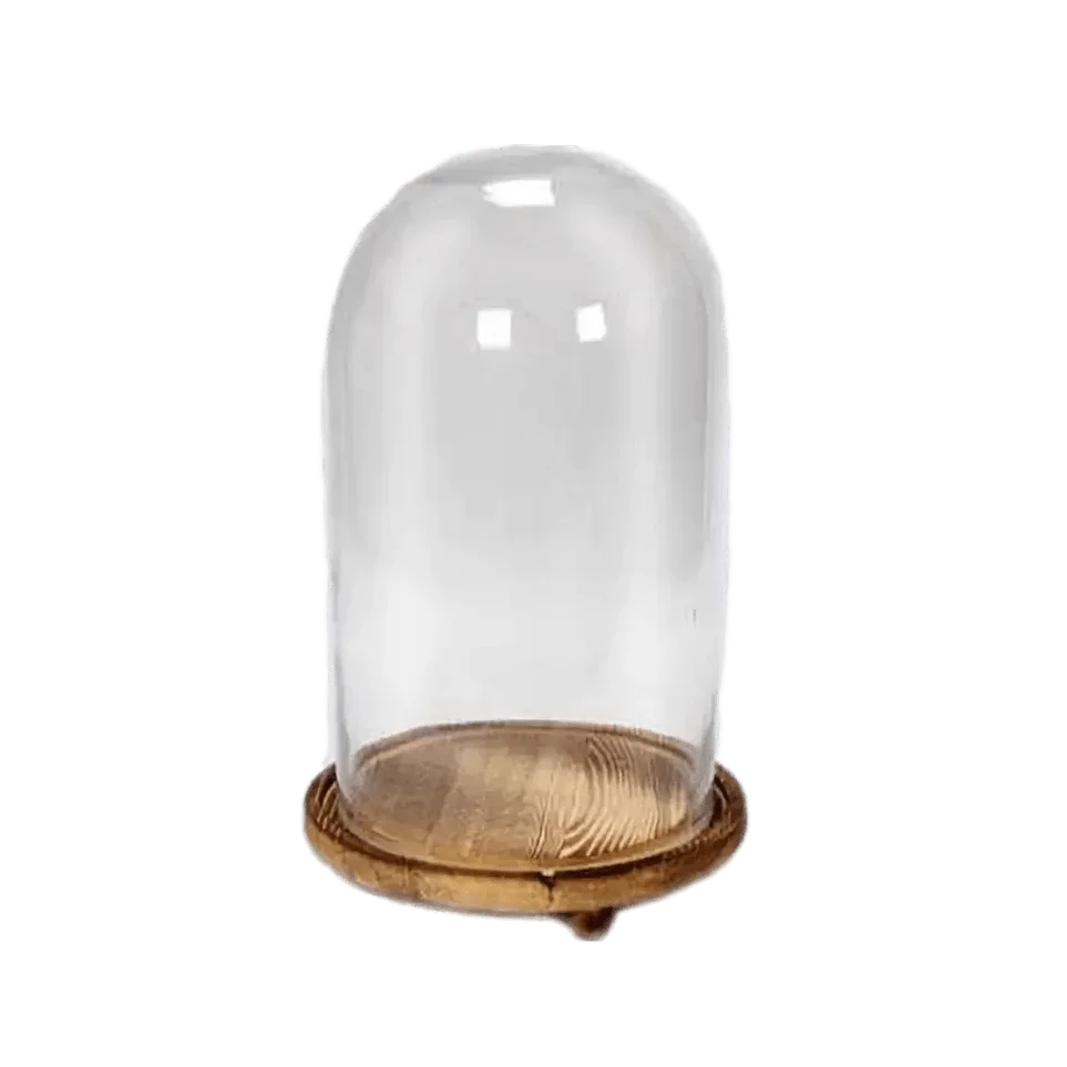 Glass + Wood Dome Display