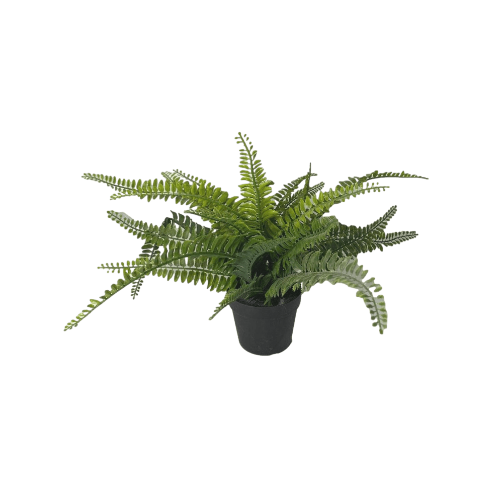 FAUX MINI FERN